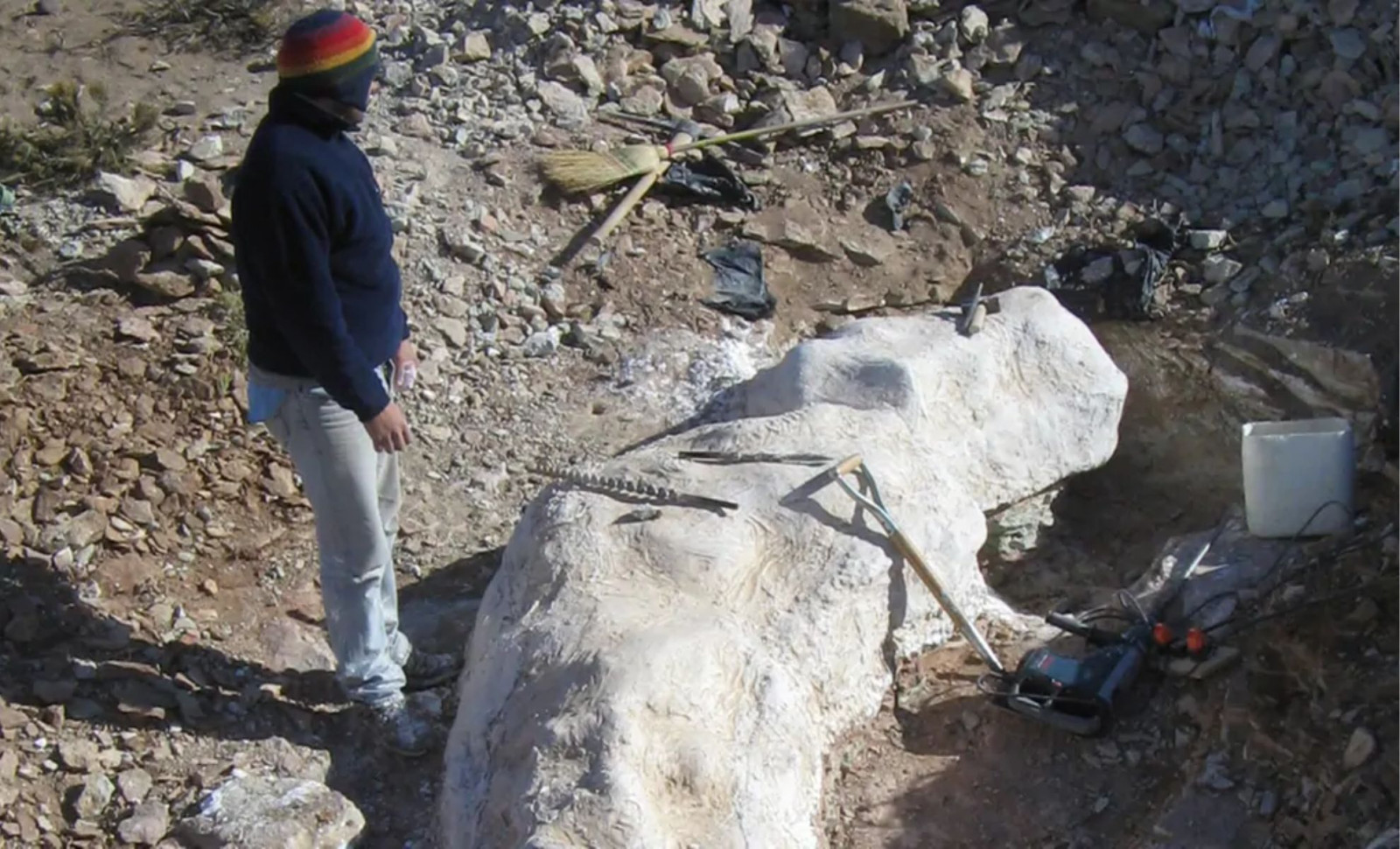Shepherd Uncovers 20-Meter Dinosaur in Patagonia with Unique Evolutionary Traits 