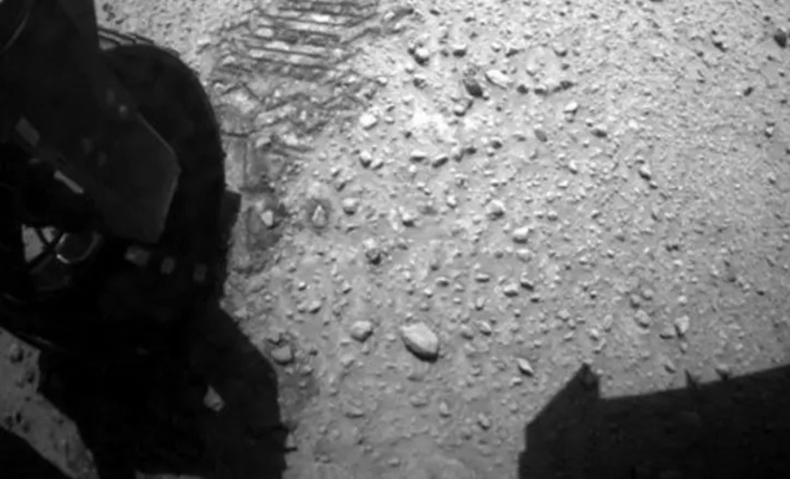 Professor Claims Discovery of Life on Mars in Rover Images, Scientists Offer Alternative View 