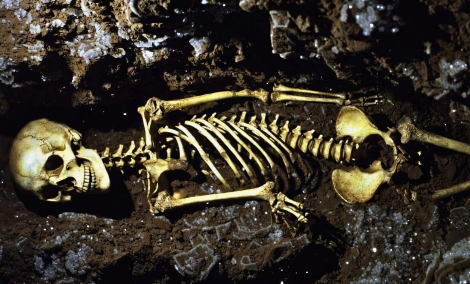Ancient Egyptian Skeleton Reveals Genetic Blend Linking North Africa and Mesopotamia 