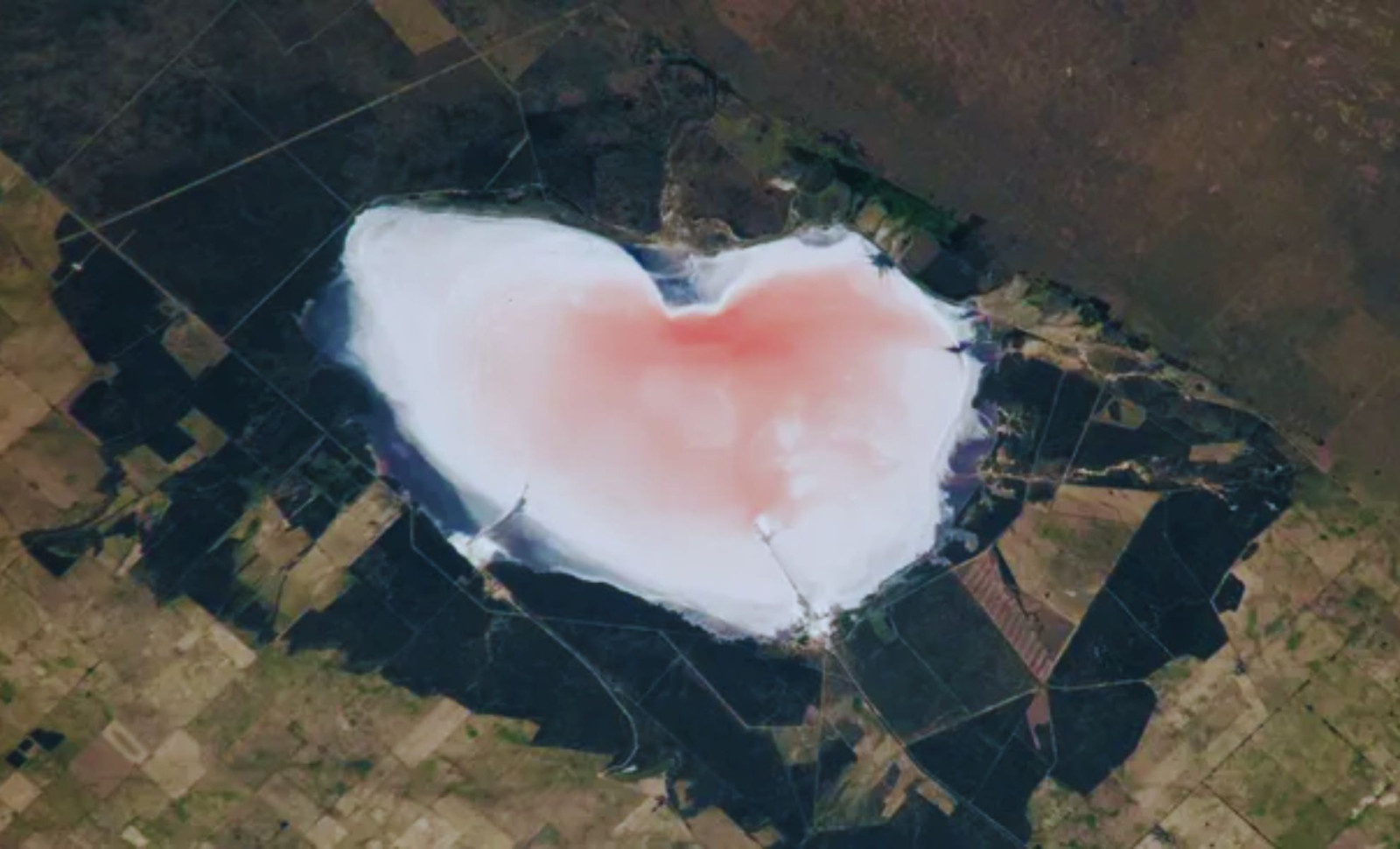 Astronaut Captures Vibrant Pink Heart-Shaped Salt Lake in Argentina from Orbit 
