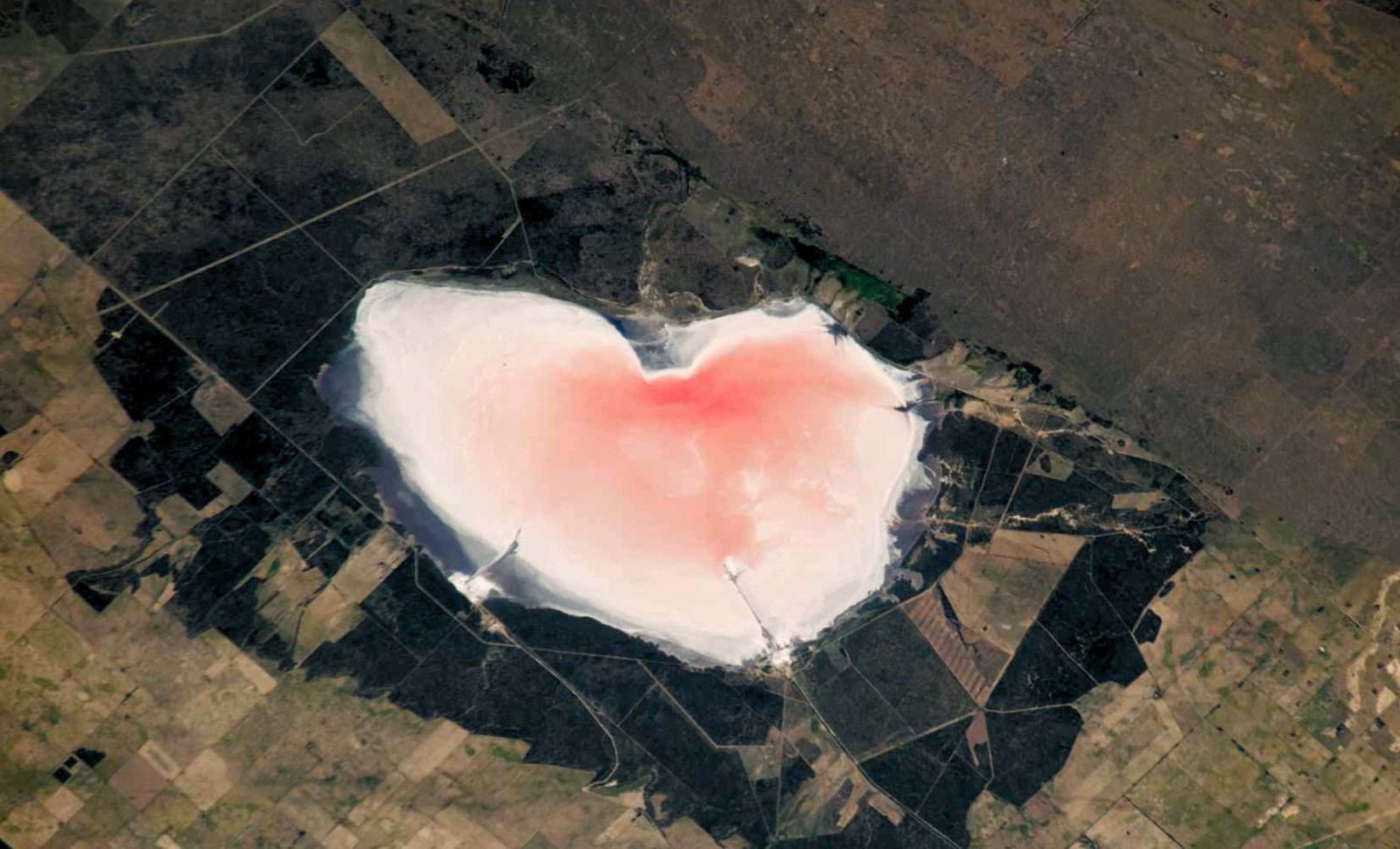 Astronaut Captures Enormous Pink Heart in Argentina—A Stunning Sign of Microbial Survival 
