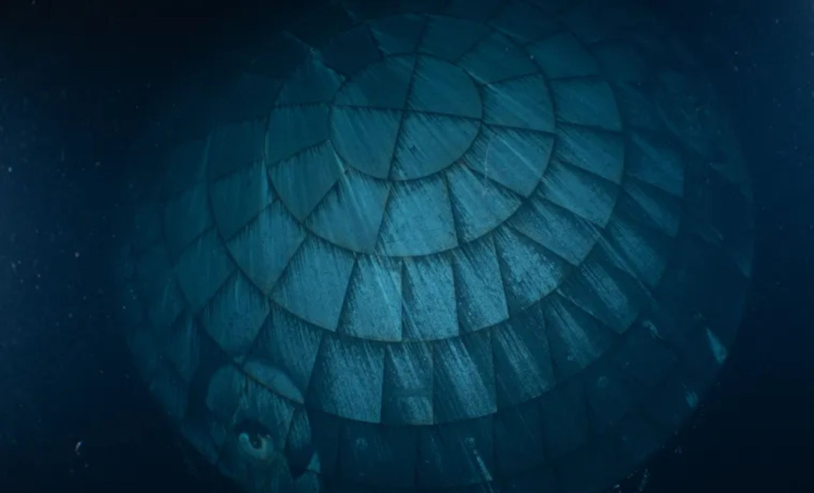 Rare Underwater Photograph Reveals Artemis II Heat Shield in Excellent Condition 
