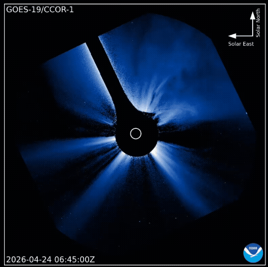e693444525c206f72cb7d5ecd7981242.gif