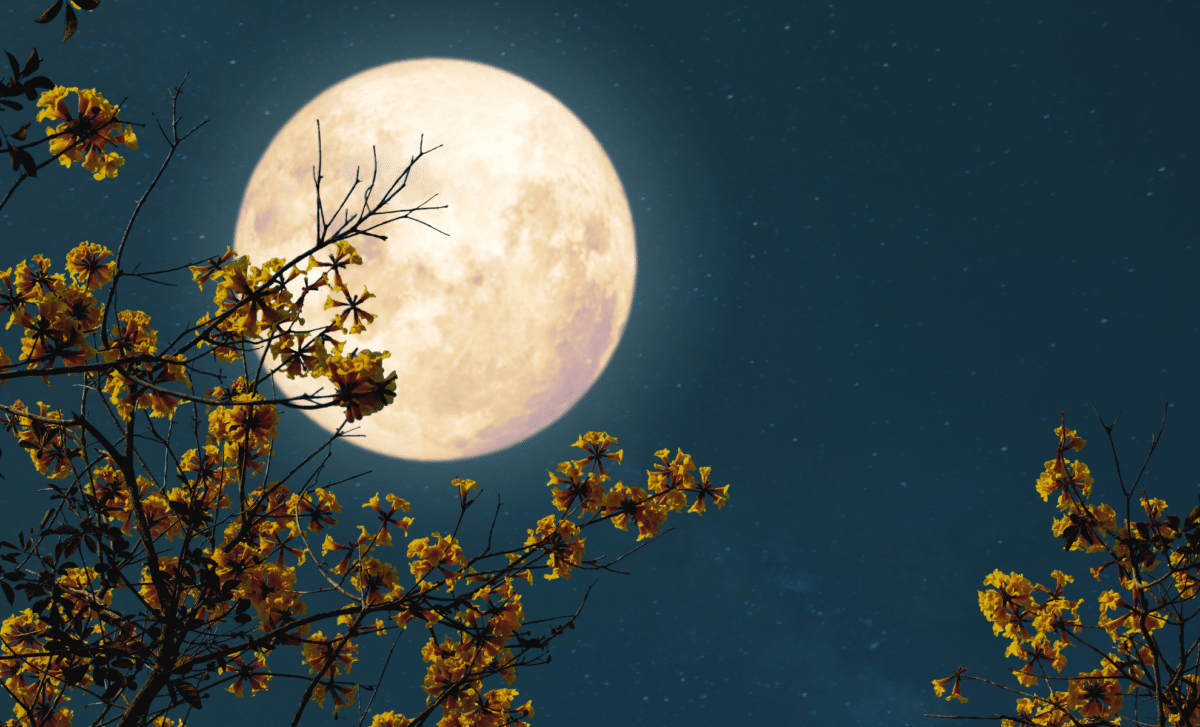 May 2026 to Showcase Two Full Moons in One Month: When and How to Observe 