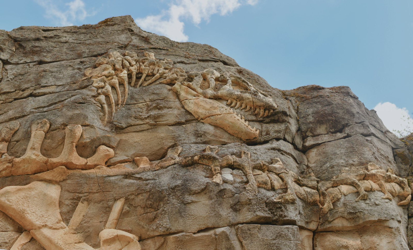 Massive 92-Foot Dinosaur Unearthed During Construction Work in China 