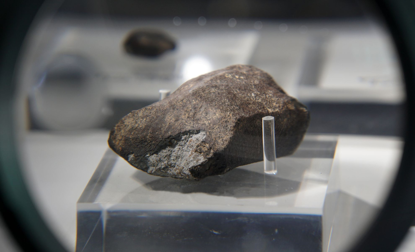 Asteroid Samples from Japan's Hayabusa2 Contain All Five DNA & RNA Bases 