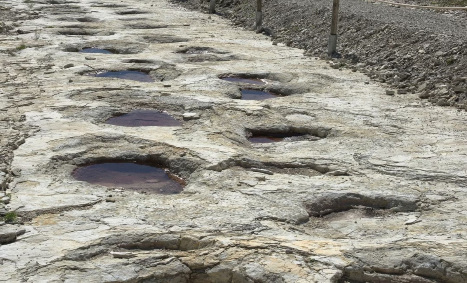 The World’s Longest Sauropod Footprint Trail Found Preserved in Jurassic Rocks of France 