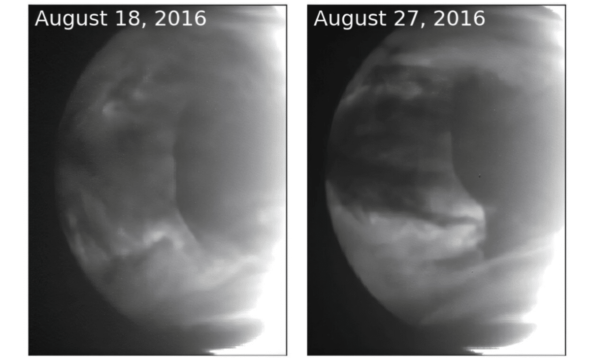 Giant Equatorial Wave on Venus Explained by Record-Breaking Hydraulic Jump 