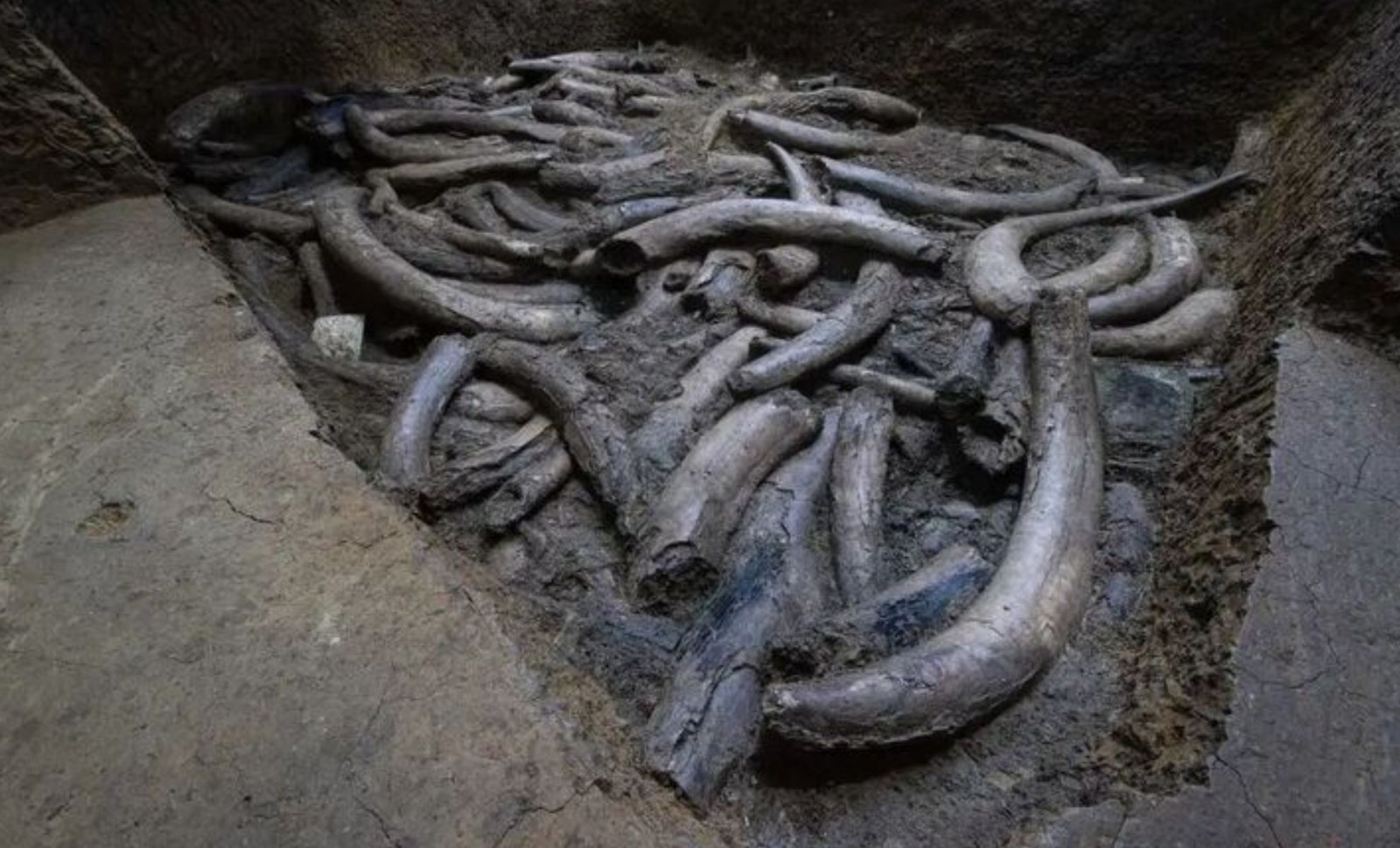 Ancient Chinese Artifact Made from Meteorite Iron Unearthed at Sanxingdui 
