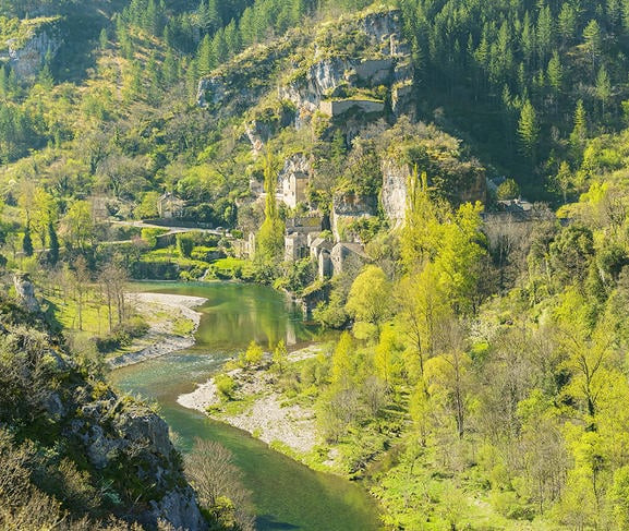 80a2de27d7c680e51ef47c0df102d7f7.jpg