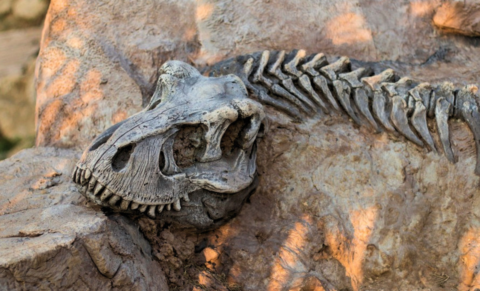 Newly Unearthed Fossil Suggests Dinosaurs Emitted Bird-Like Sounds Instead of Roars 