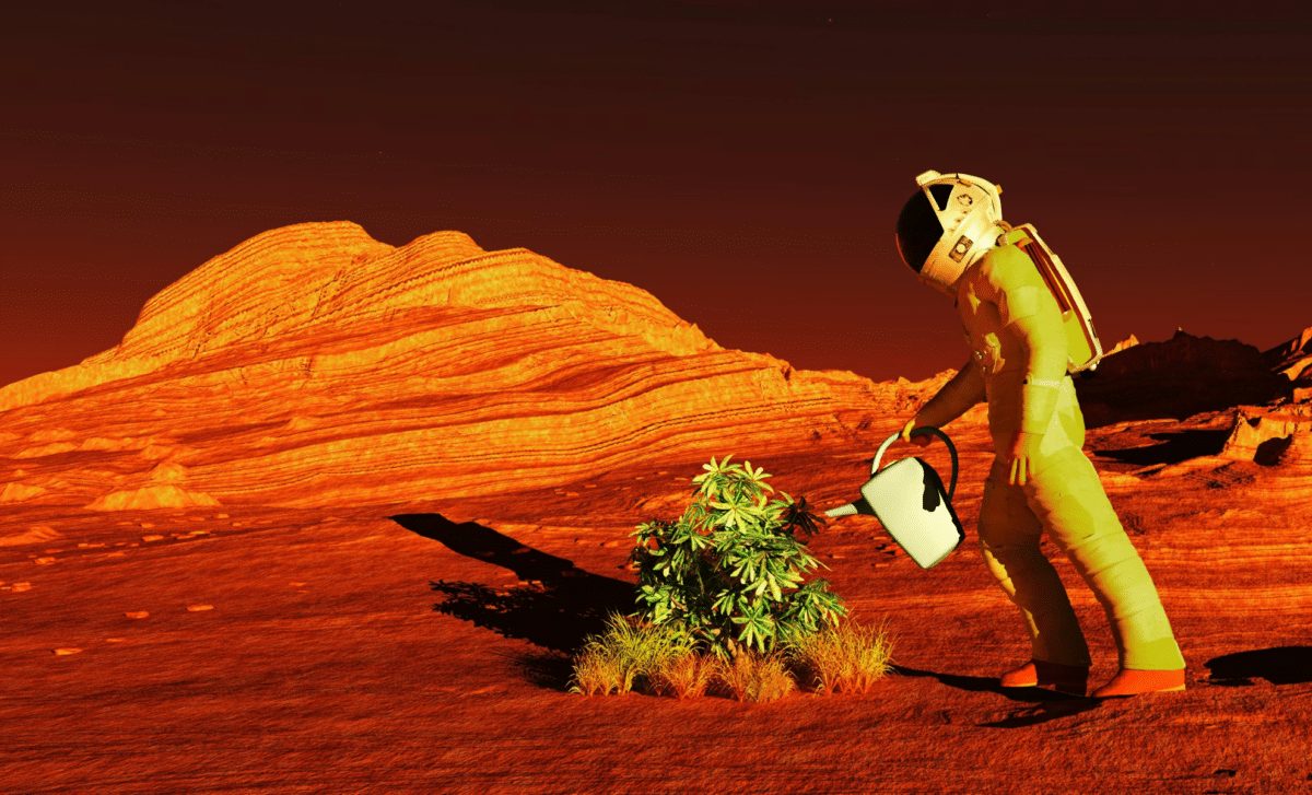 Fungi Might Enable Crops to Thrive in Martian Soil 