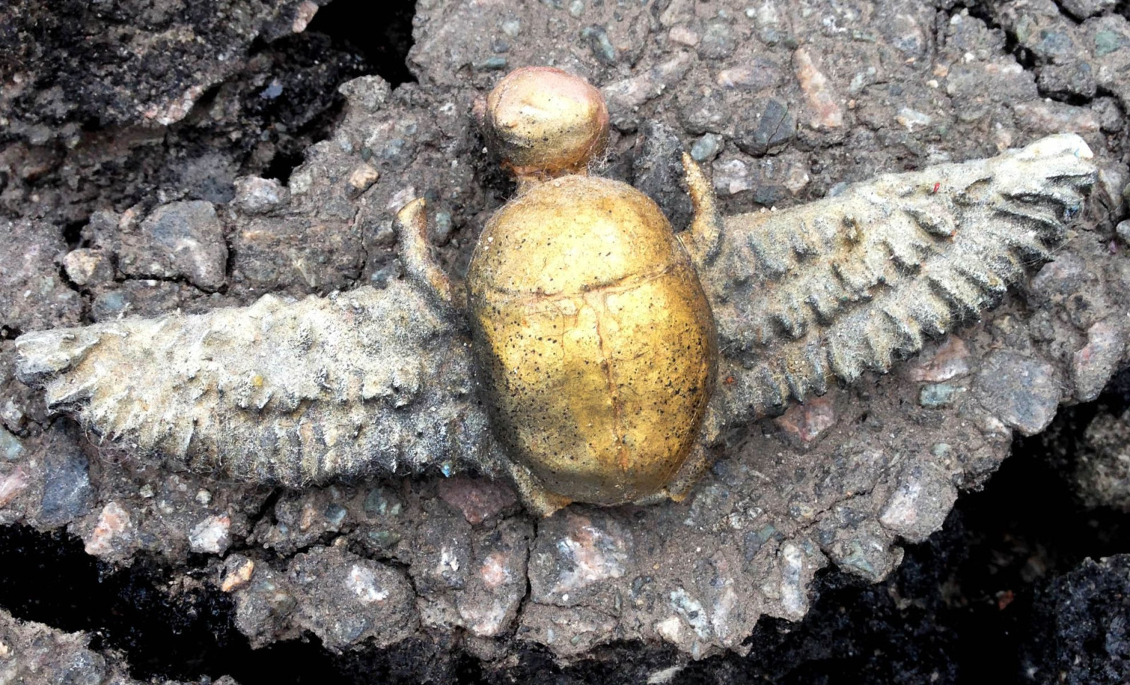 Egyptian Scarab Amulet Found in Spanish Tomb Reveals Ancient Mediterranean Connections 