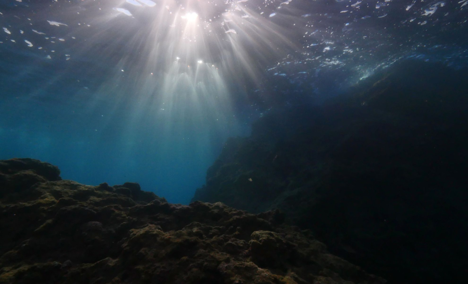 Lost Island Beneath the South Atlantic Reveals Rich Deposits of Rare Metals 