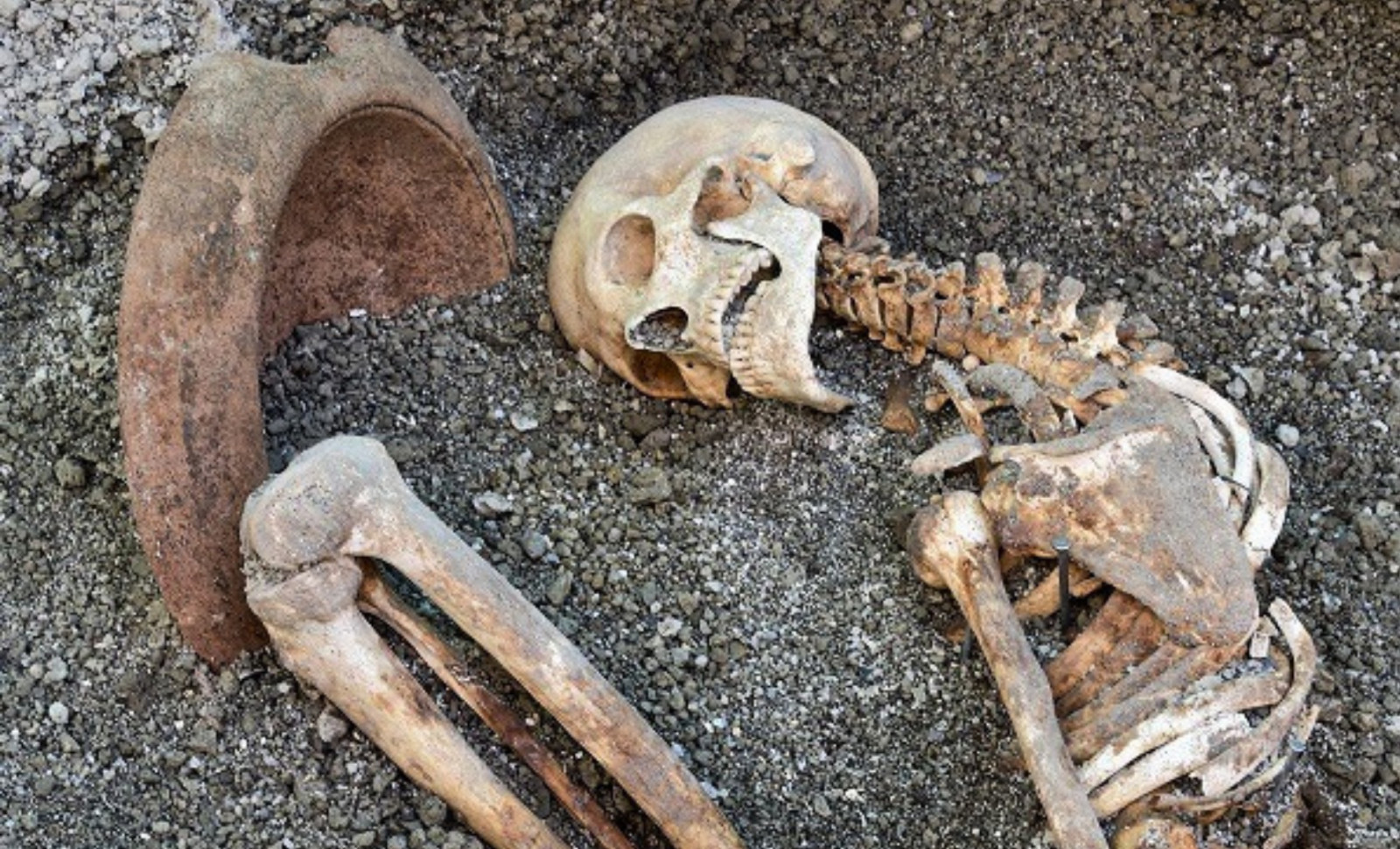 AI Brings to Life the Face of a Pompeii Victim Over 1,900 Years Later 