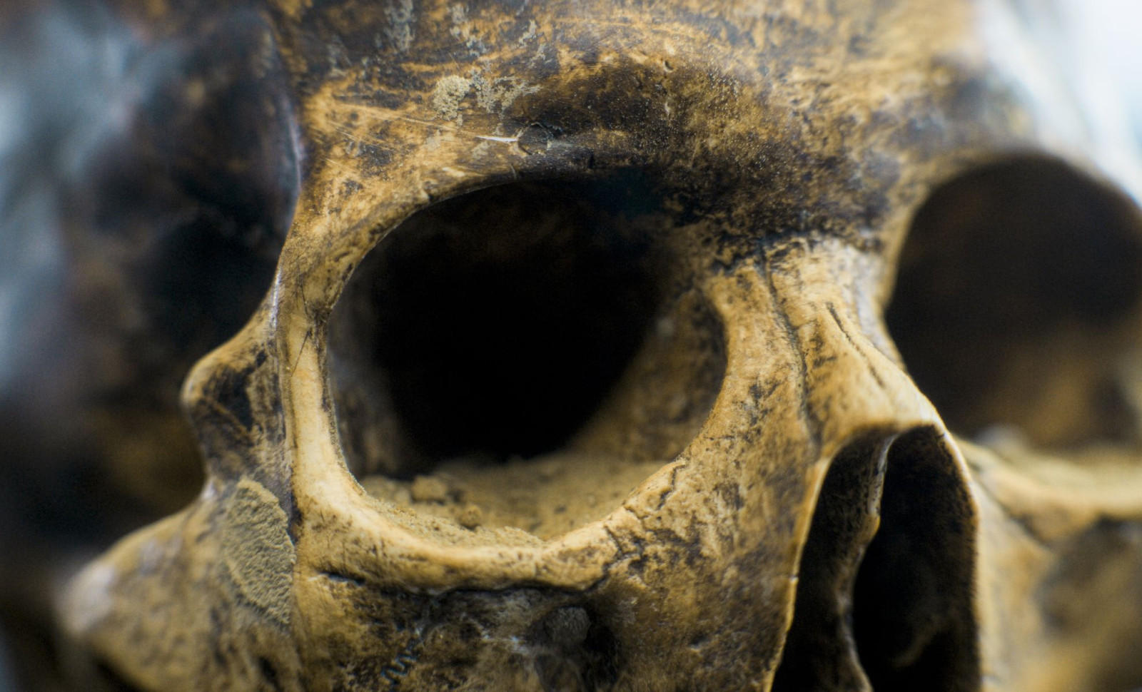 New Insights Suggest Neanderthals Possessed Language Skills Similar to Modern Humans 