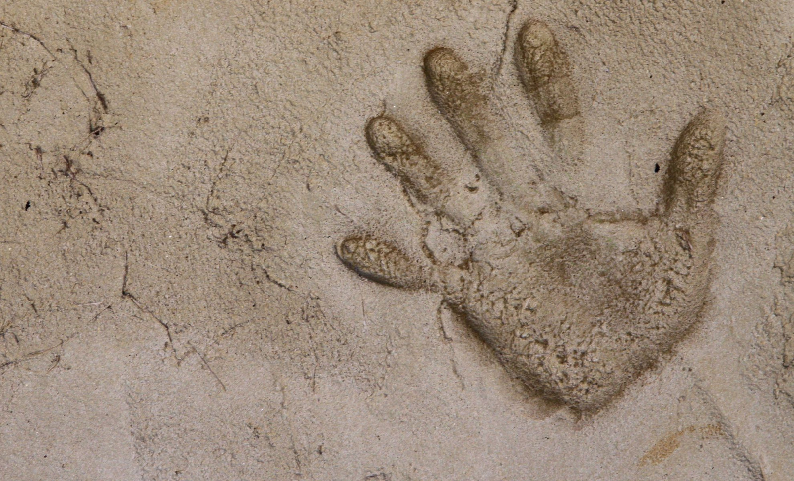 Rare 4,000-Year-Old Potter’s Handprint Found Beneath Ancient Egyptian Artifact 