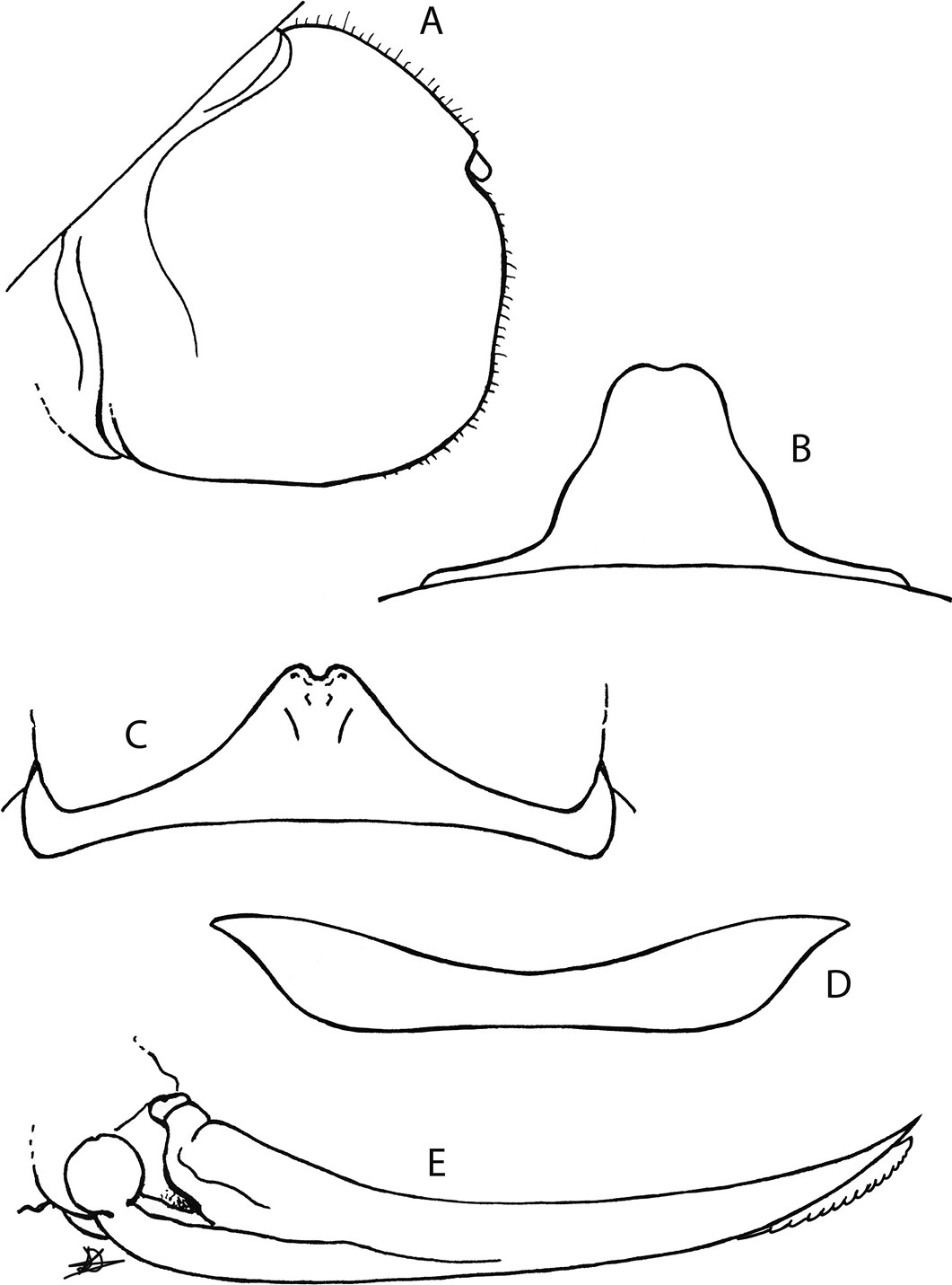 64c625f0702b9e56defaffb91ae47eb7.jpg