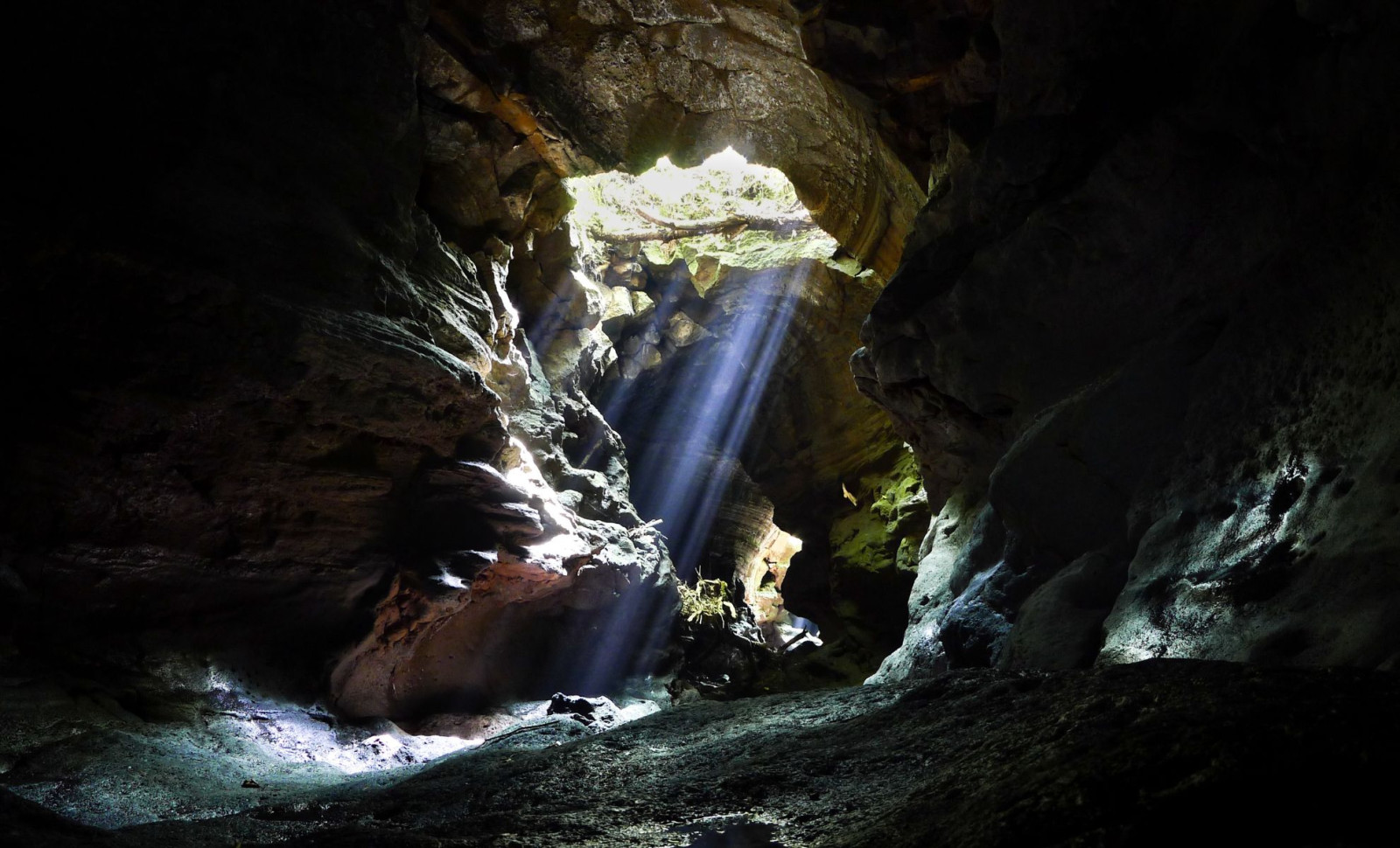 Unveiling a Strange Cricket Species Hidden Deep Within a Greek Cave 