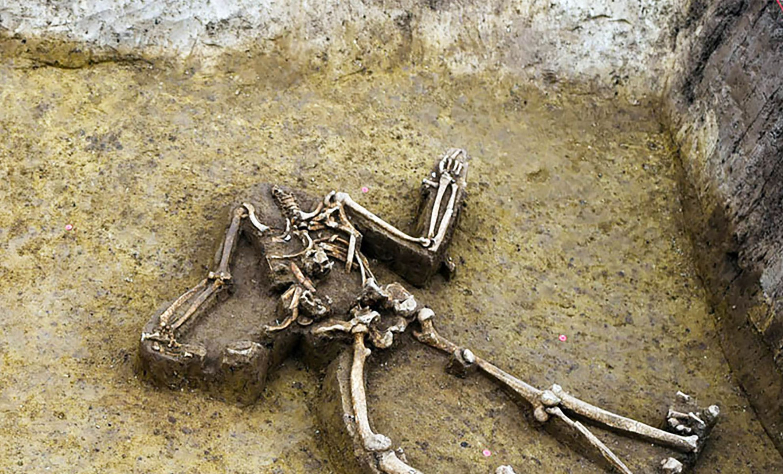 Archaeologists Discover 77 Headless Burials in Ancient Slovakian Village 