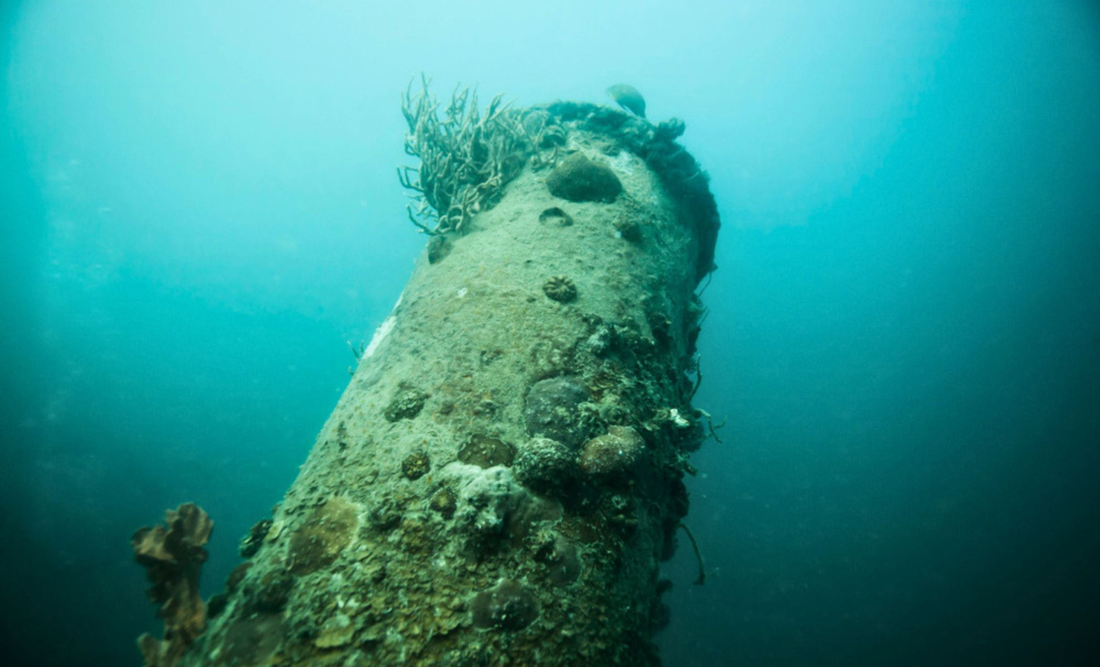 Underwater Discovery: 19 Revolutionary War Cannons Unearthed in Savannah River 