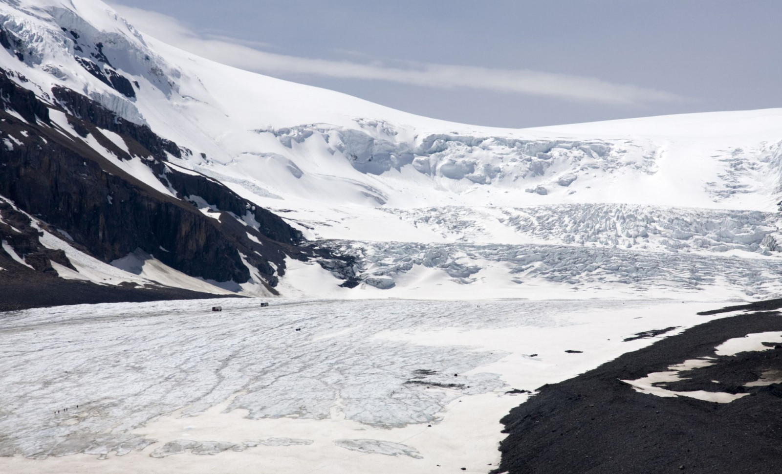 Researchers Follow Mysterious Arctic Icebergs to Uncover Thriving Deep-Sea Ecosystems 
