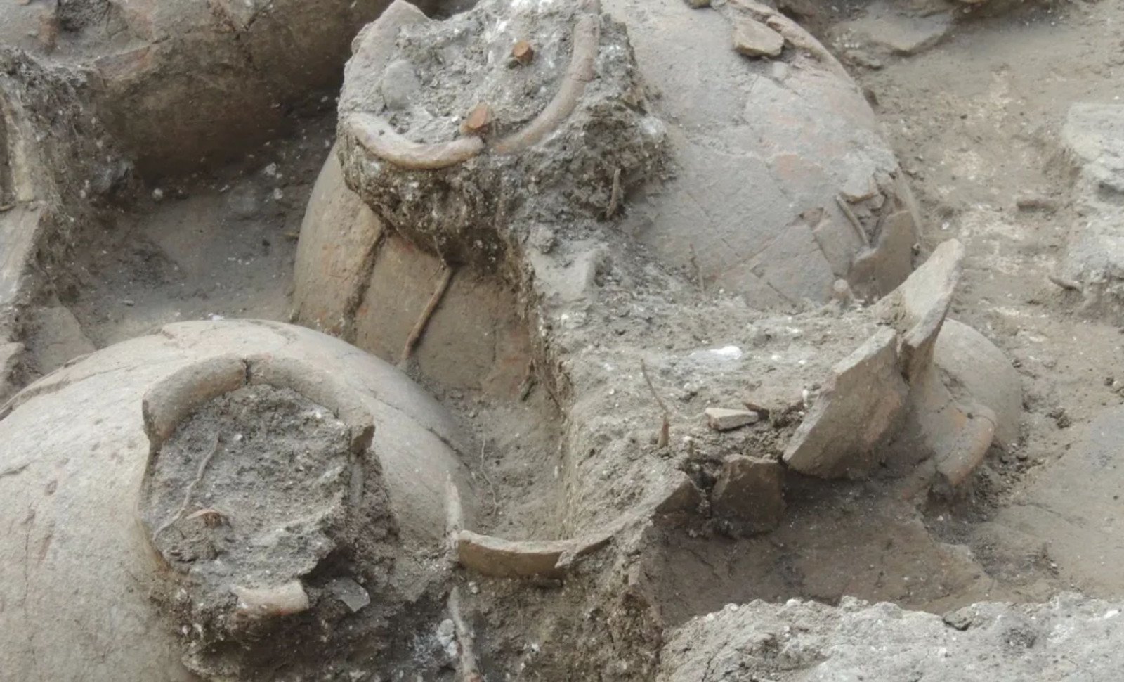 Ancient Shiloh Site Reveals Three Millennia-Old Storage Jars 