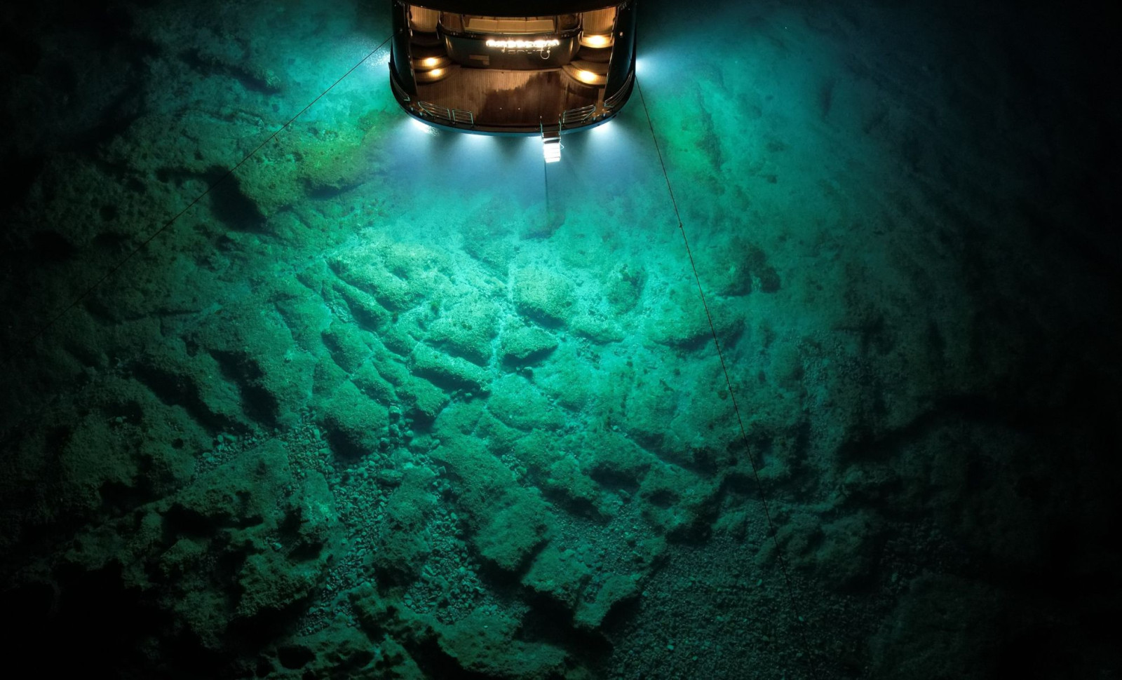 Explorers Discover Vast Whale Cemetery Deep Beneath Indian Ocean, Unveiling Unique Ecosystem 
