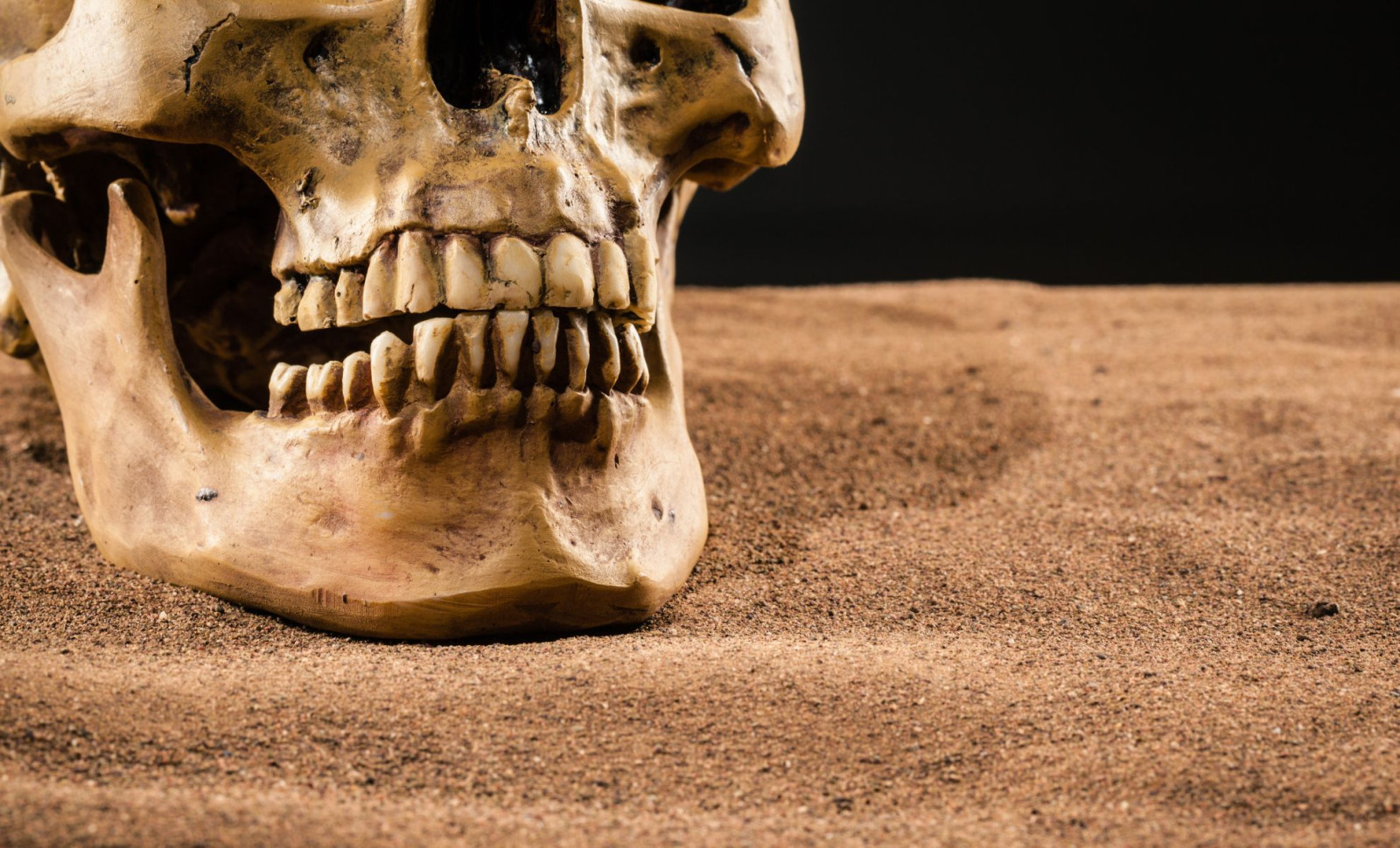 Ancient Teeth Reveal Plague Bacterium Striking Humans 5,500 Years Ago 
