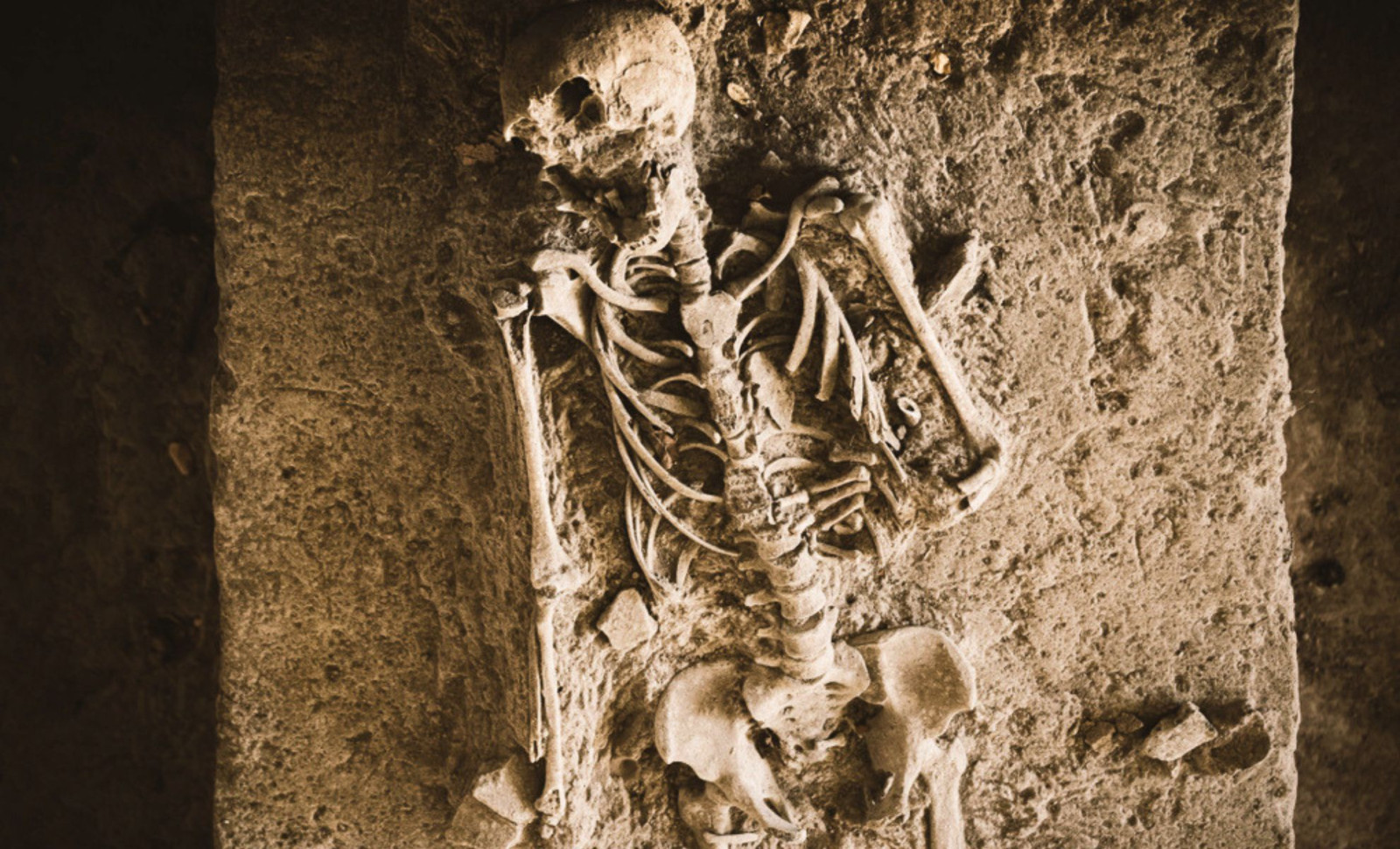 University Students Discover Viking-Age Mass Burial Featuring a Giant Skeleton 