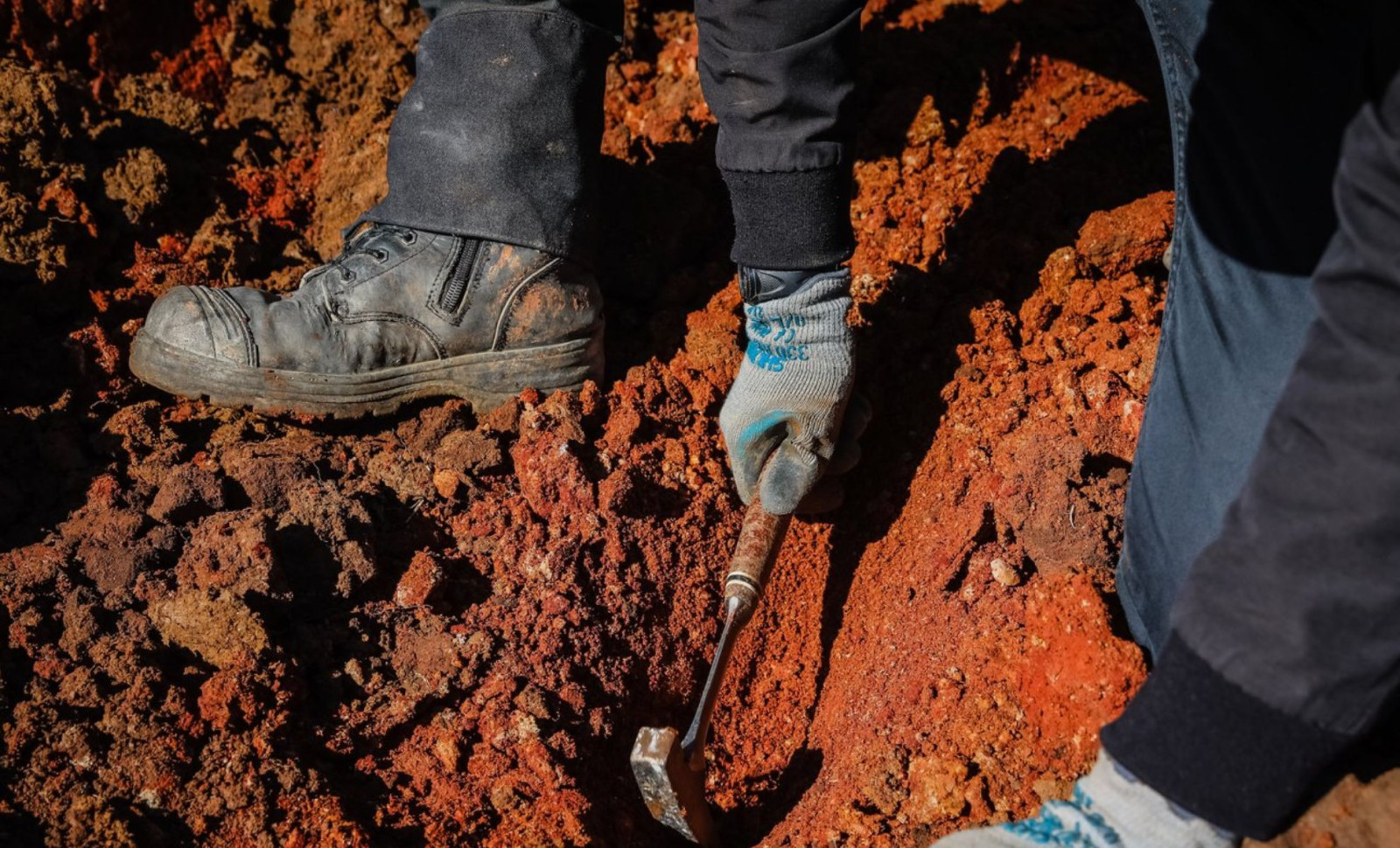 Remarkably Preserved 16-Million-Year-Old Fossils Unearthed on Australian Farmland 