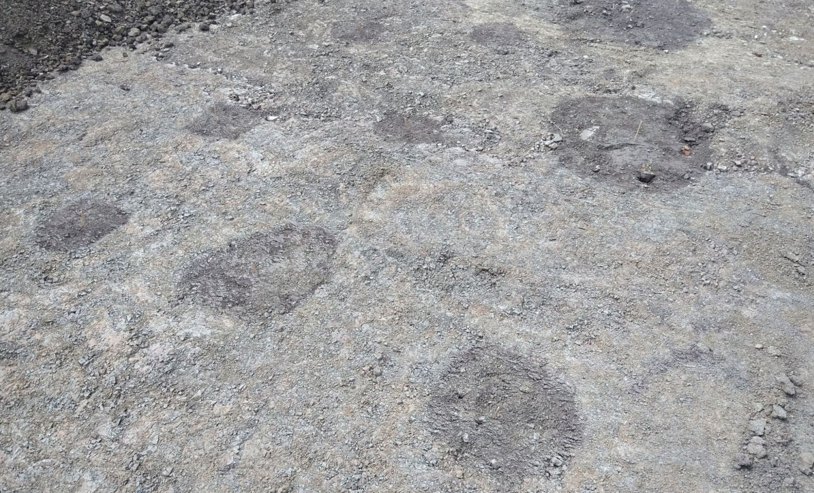 Lost for Six Centuries: Medieval Town Echene Unearthed in Germany 