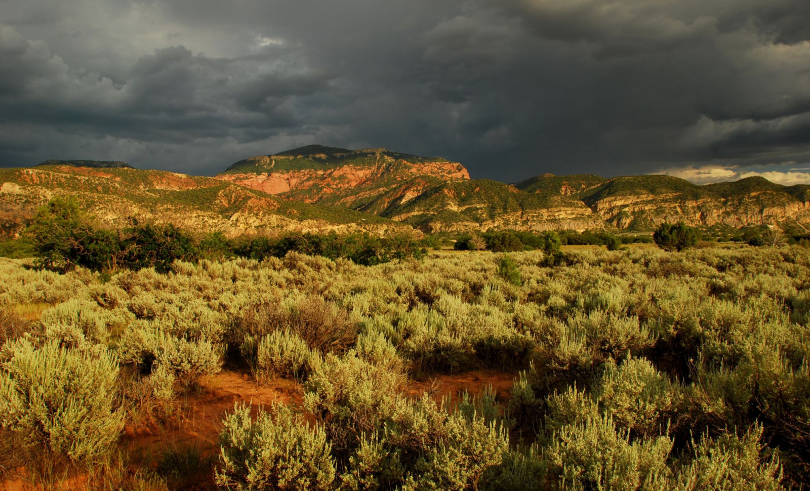 Discovery of Unprecedented Deep Earthquakes Below Northern Utah Challenges Existing Beliefs 
