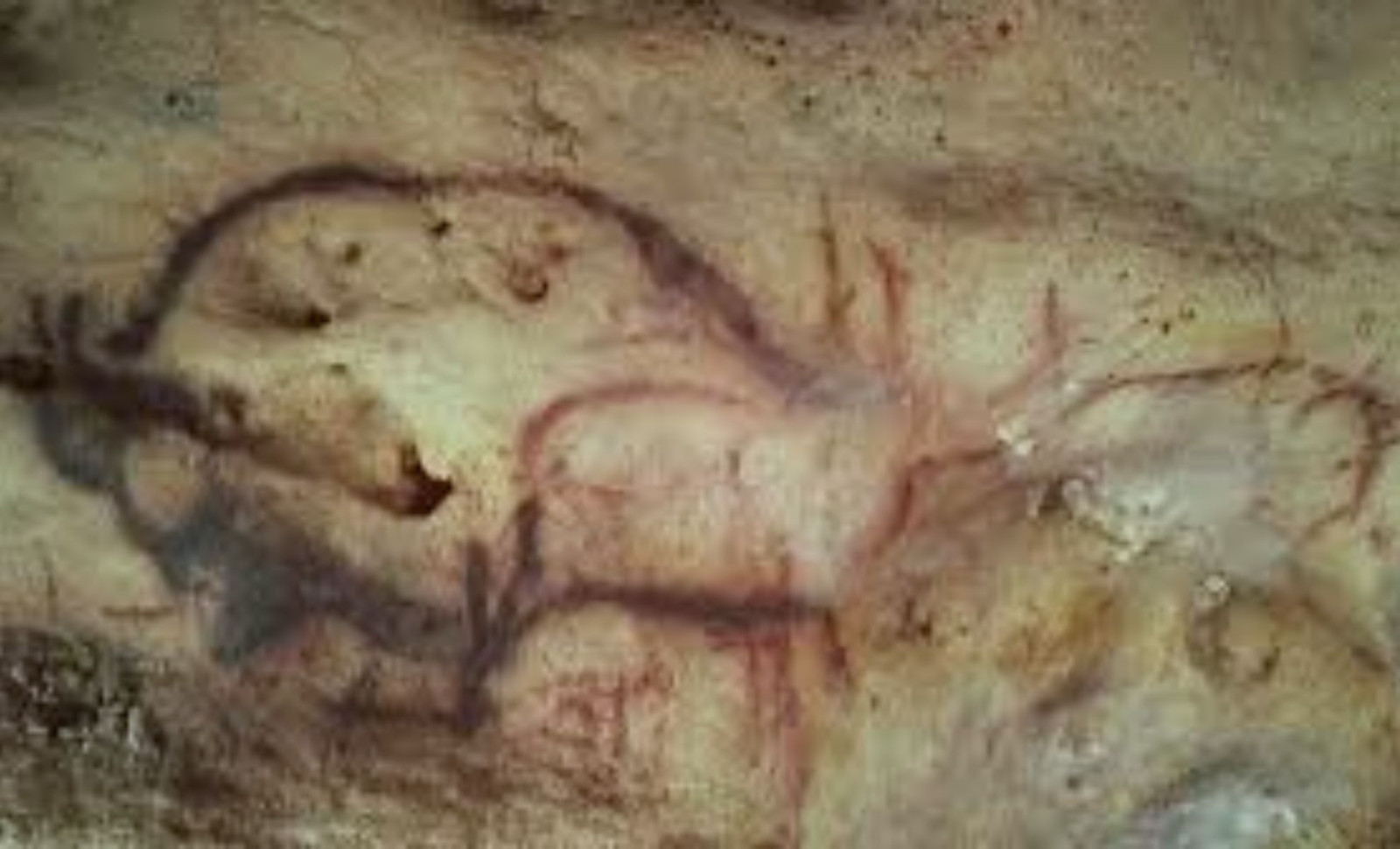 Scientists Reveal Age of Ancient Black Pigments in French Cave Art 