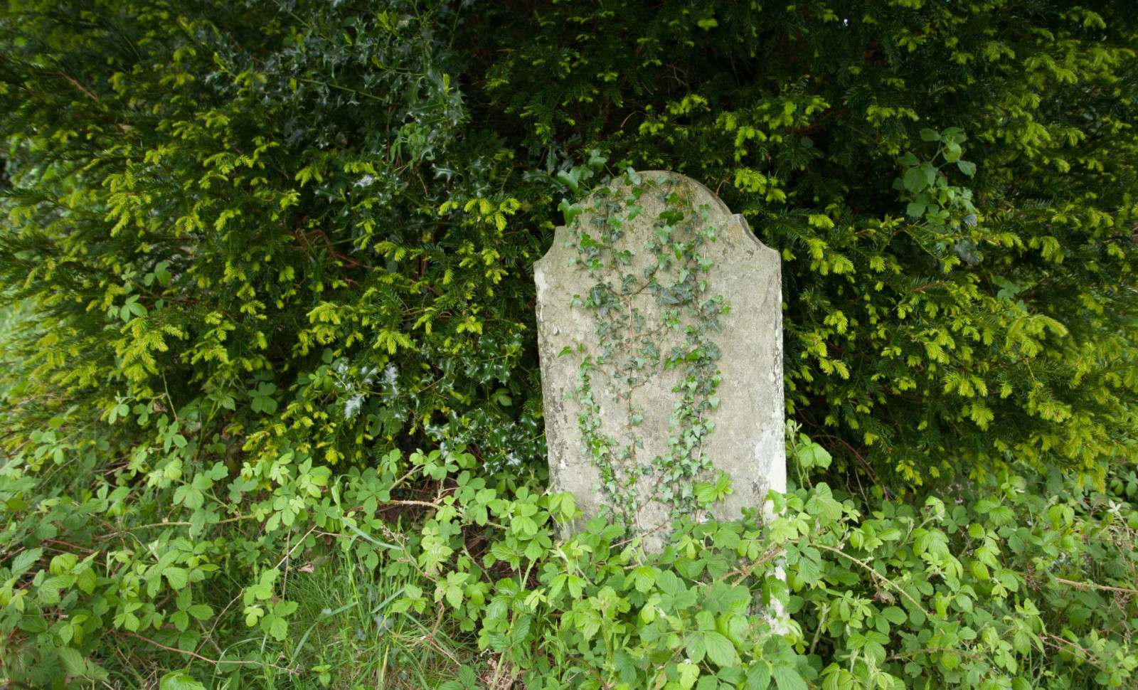 Ancient Roman Tombstone Discovered in New Orleans Yard After Being Missing Since WWII 