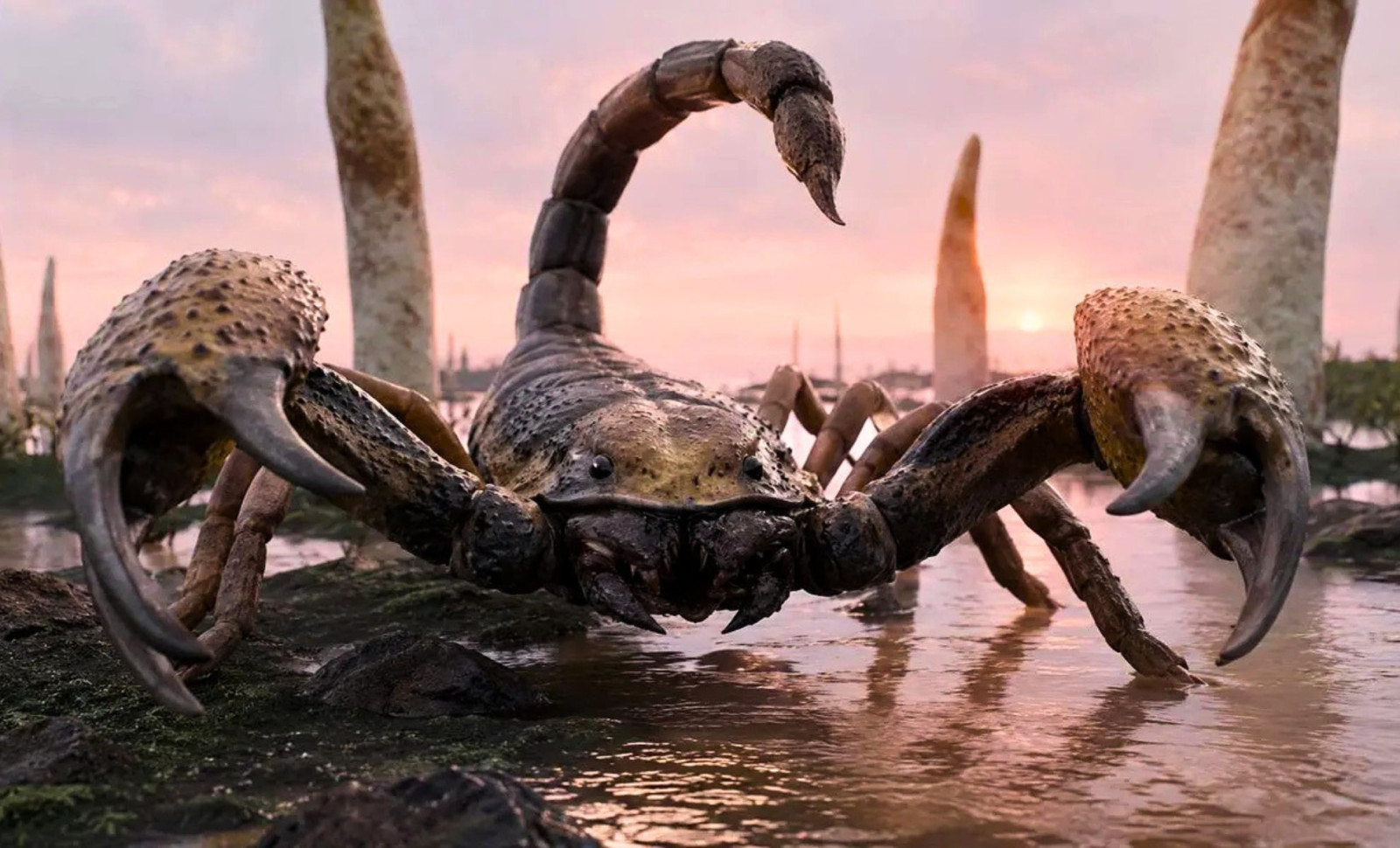 Giant Devonian Scorpion Identified from Fossil Claw, Exceeding One Metre in Length 