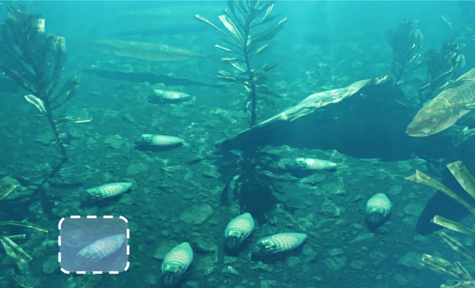 Researchers Create Amphibious Cockroach ‘Cyborgs’ Capable of Three-Hour Underwater Missions 