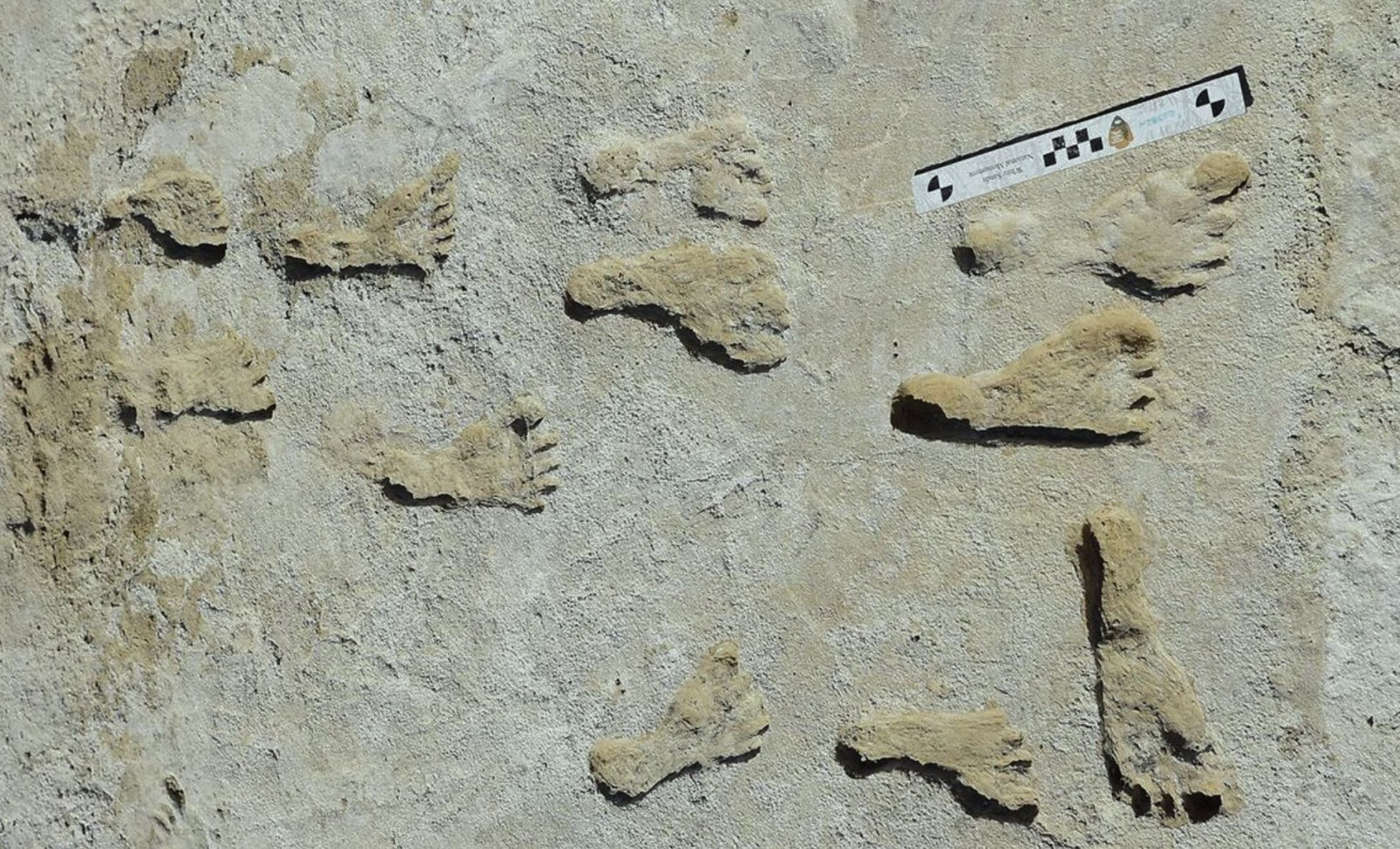 New Dating Confirms 23,000-Year-Old Human Footprints at White Sands, New Mexico 