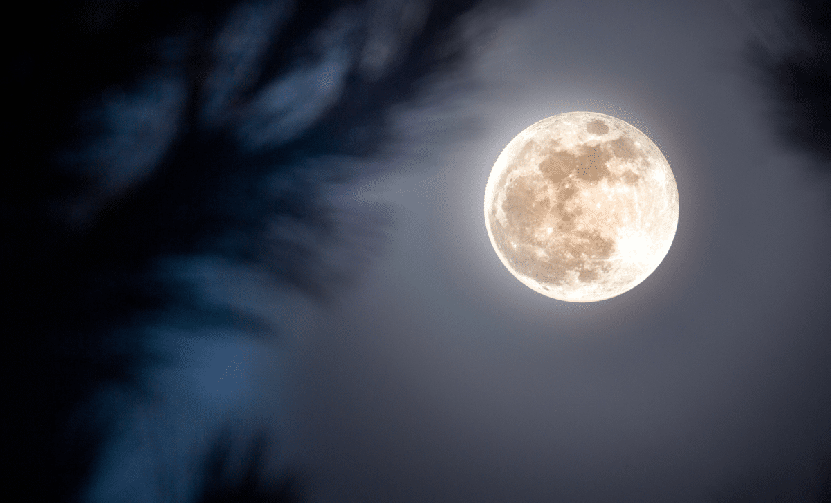 Catch the Stunning Buck Moon Lighting Up the Sky This July 