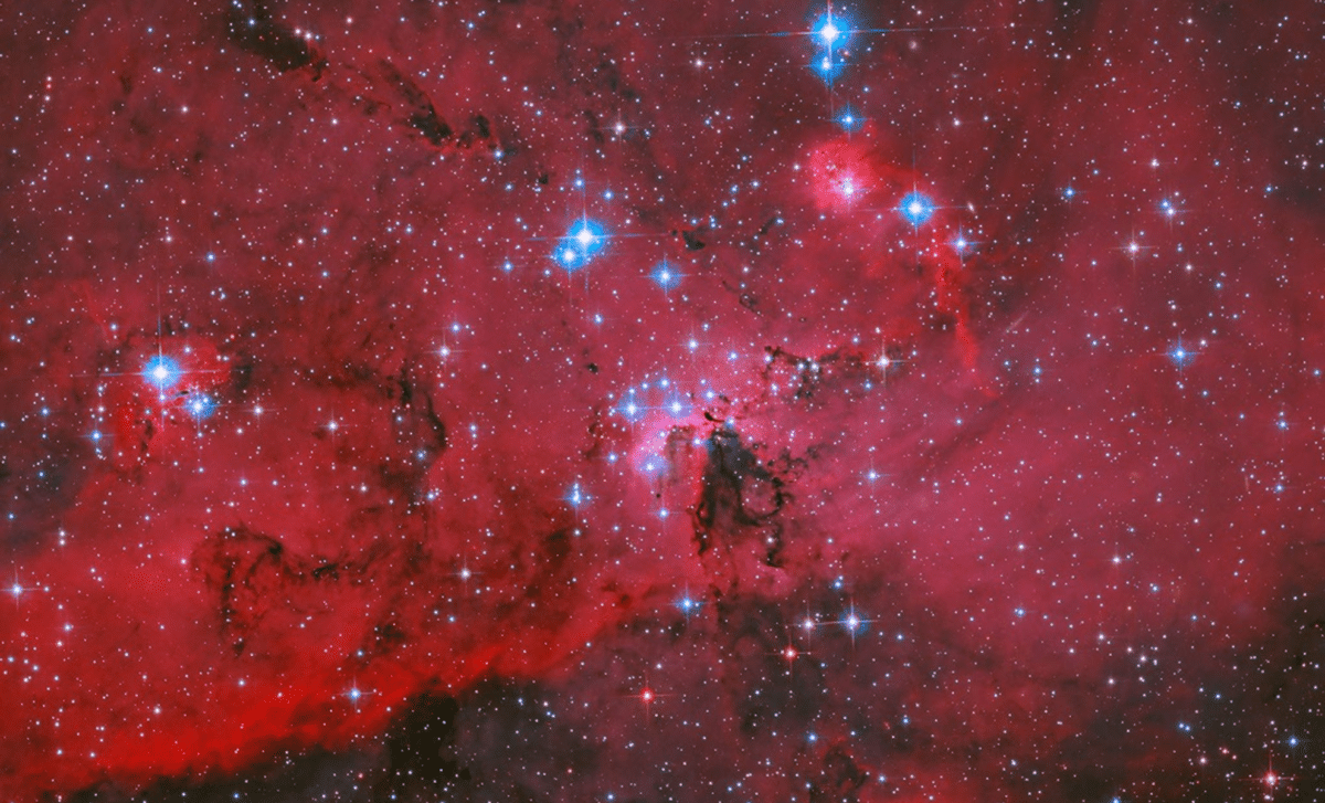 Hubble Captures Breathtaking Stellar Nursery Teeming with Emerging Stars 