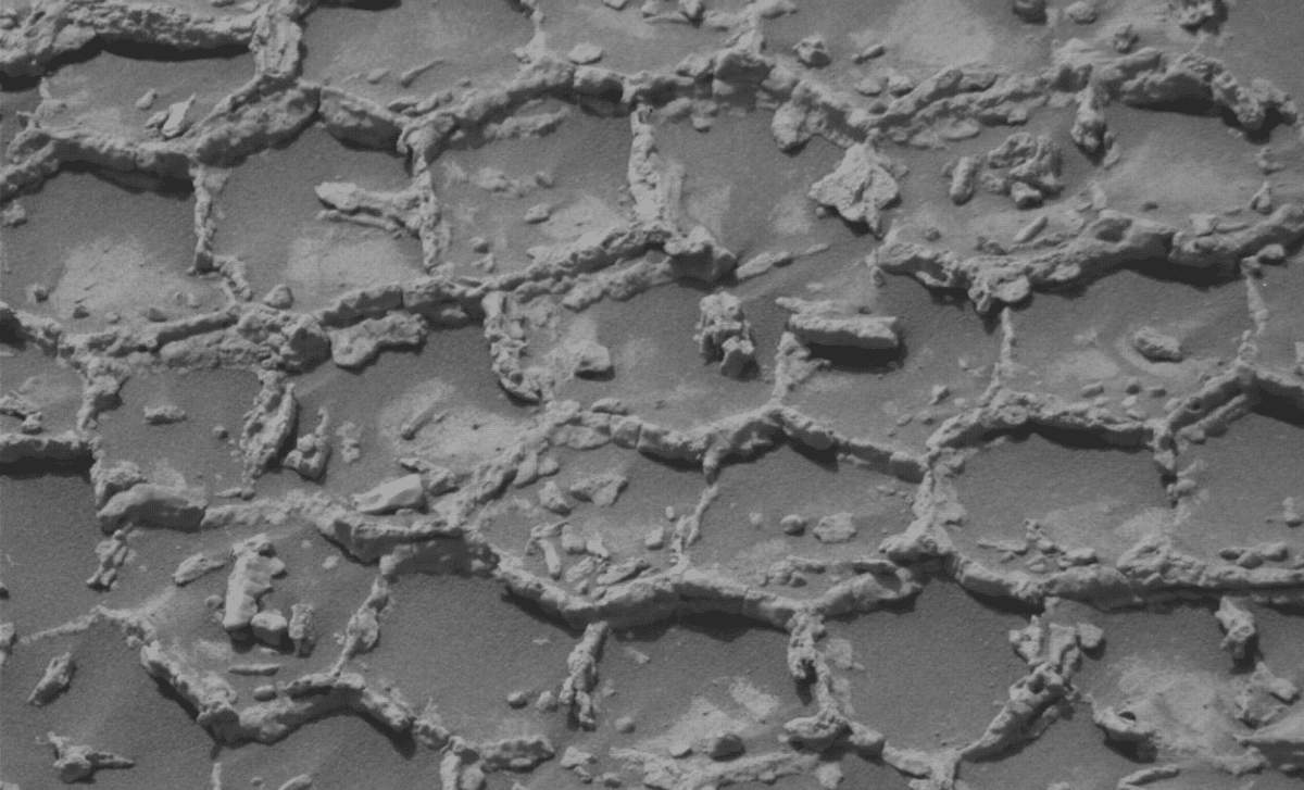 Curiosity Rover Uncovers Unusual Polygonal Terrain and Mysterious Rocks in Gale Crater 