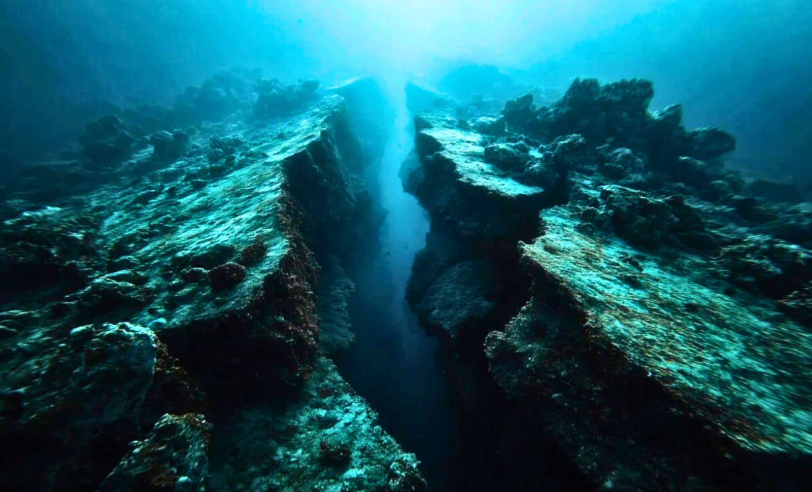 Deep Fault Reveals Crustal Breakup Off Vancouver Island in Cascadia Zone 