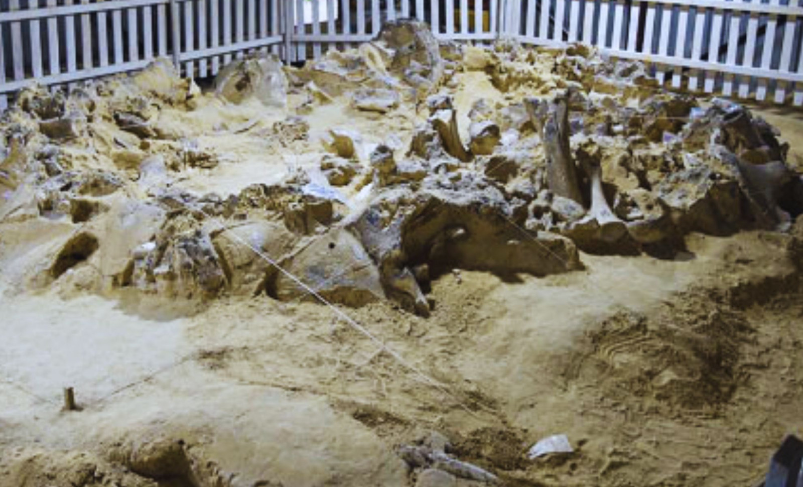 Ancient Mammoth Bone Dwellings in Ukraine May Have Sheltered Communities for Centuries 