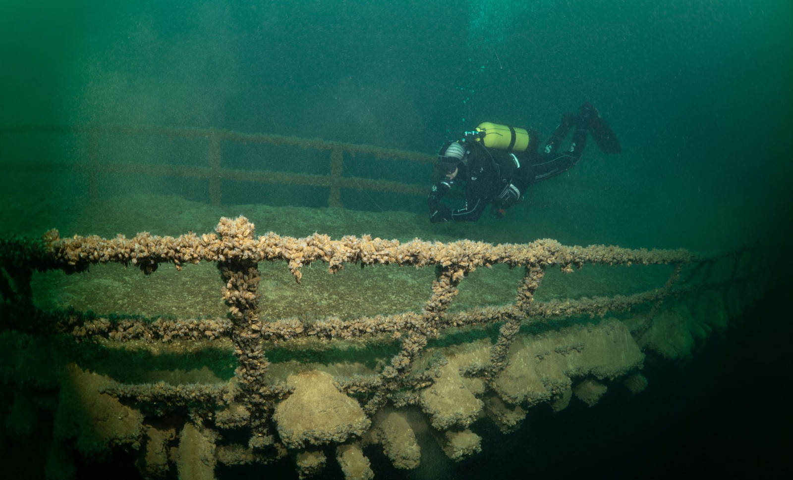 Ancient Roman Bridge From 4th Century Unearthed Beneath Swiss River by Divers 