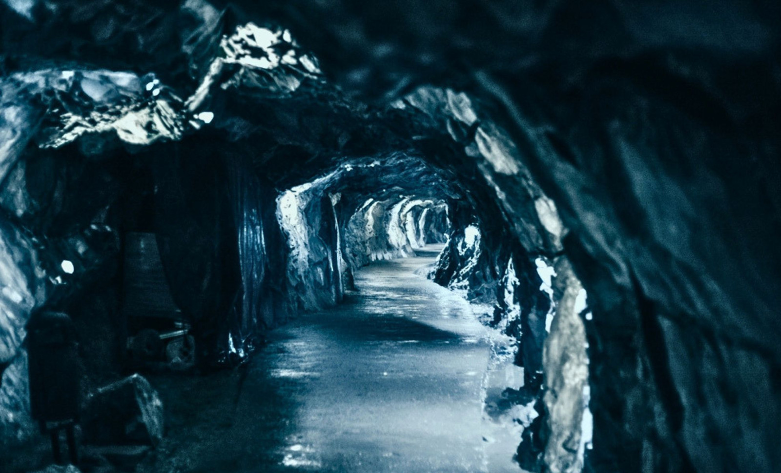 Hidden Norwegian Cave Unveils a 75,000-Year-Old Arctic Ecosystem 