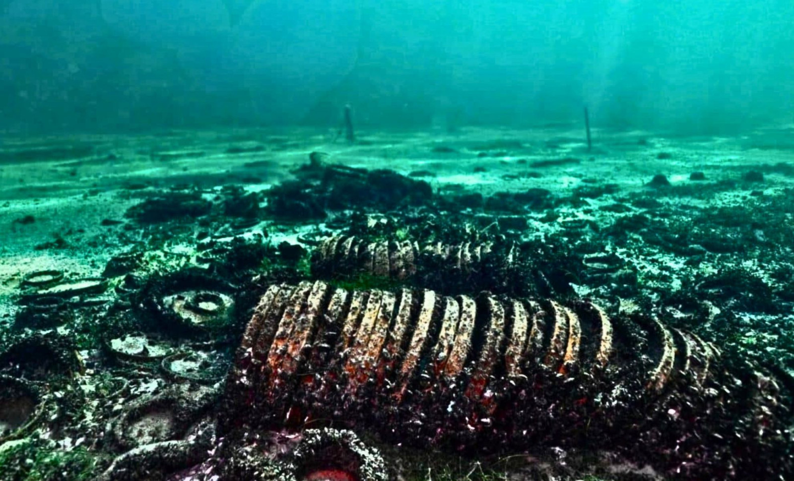 Remarkably Preserved Roman Cargo Uncovered in Swiss Lake, Intact After Two Millennia 