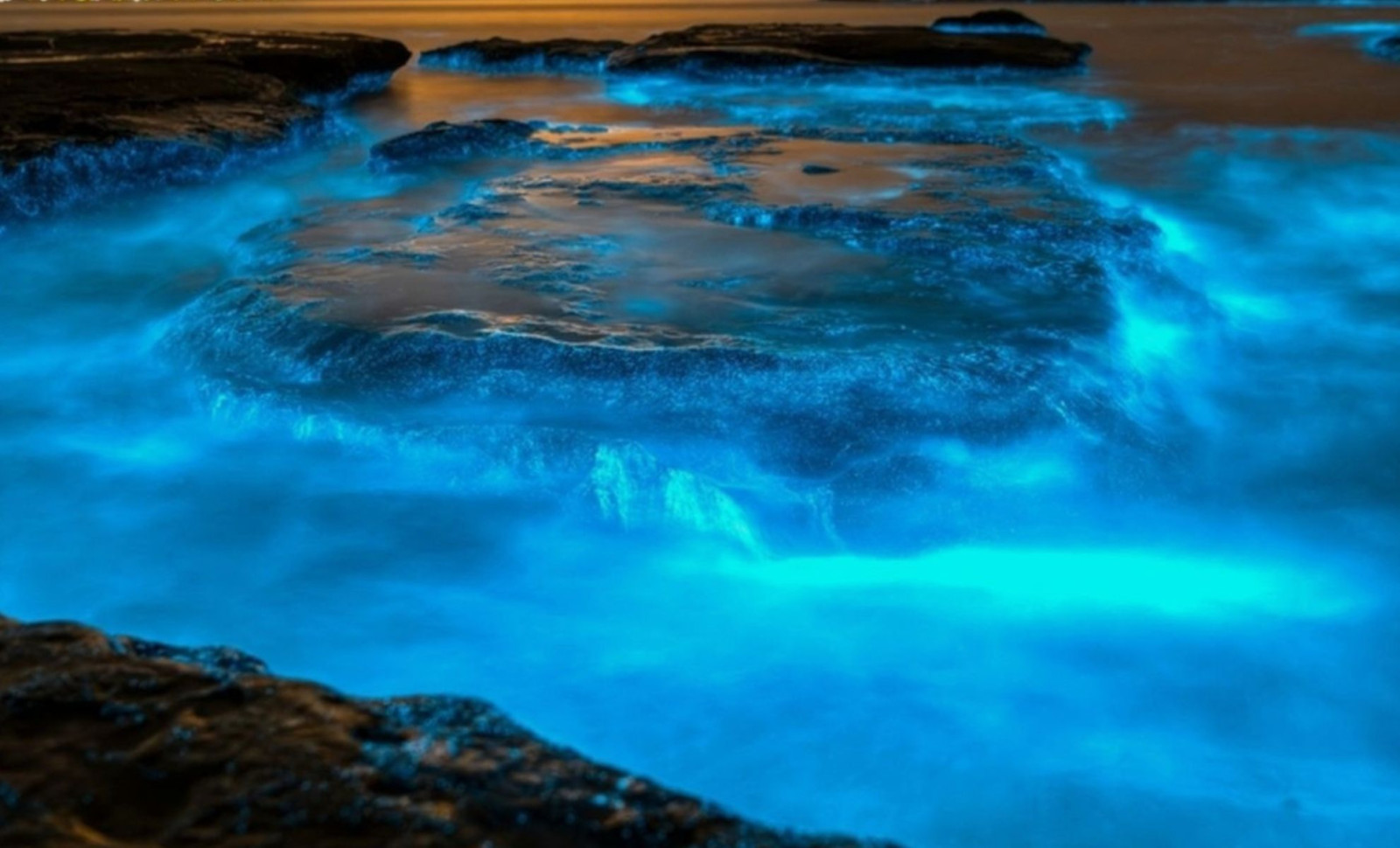 Unraveling the Mystery Behind the Centuries-Old Glow of the Milky Seas 
