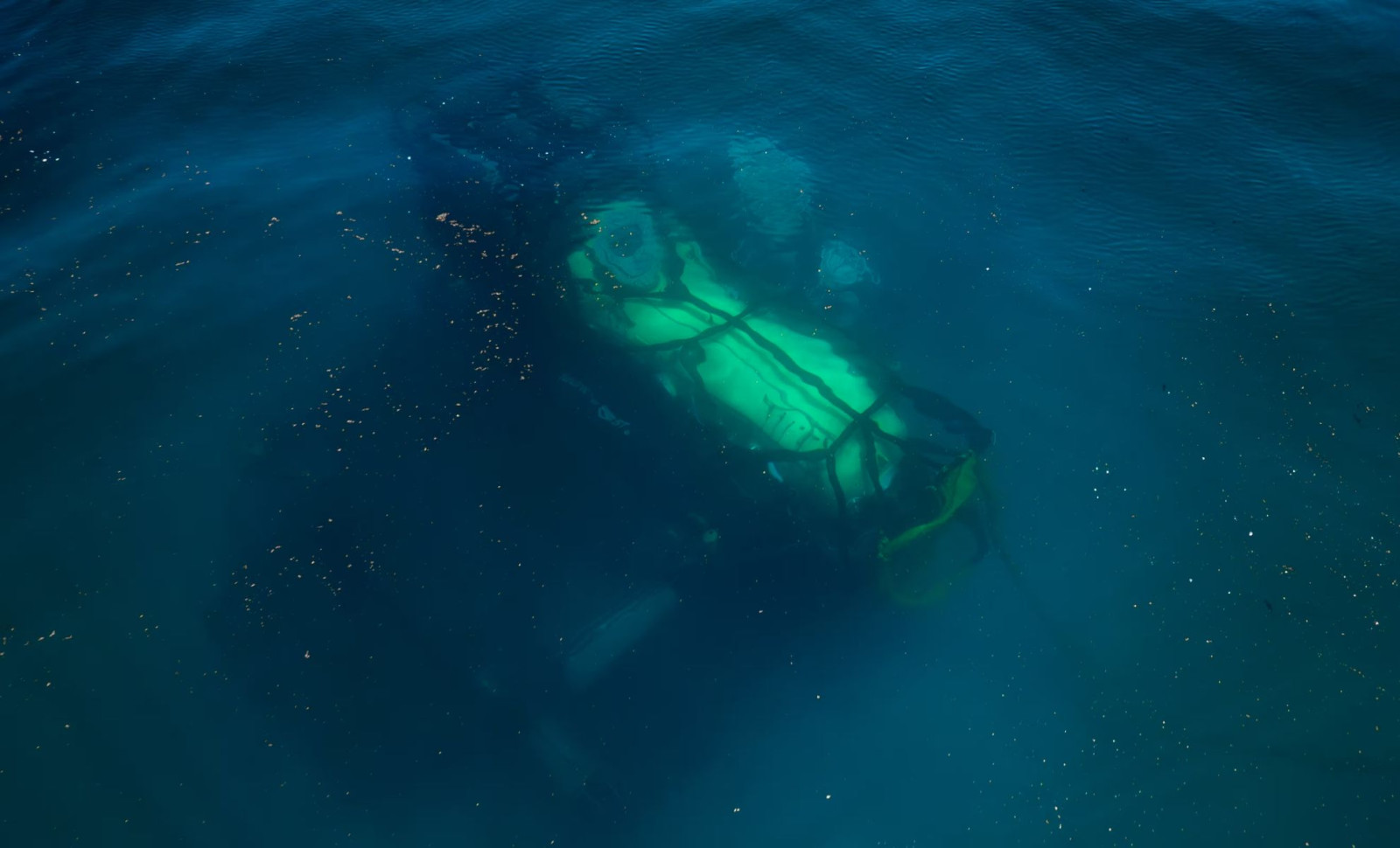 New Underwater Habitat 56 Feet Deep in Florida Keys Now Welcomes Researchers 