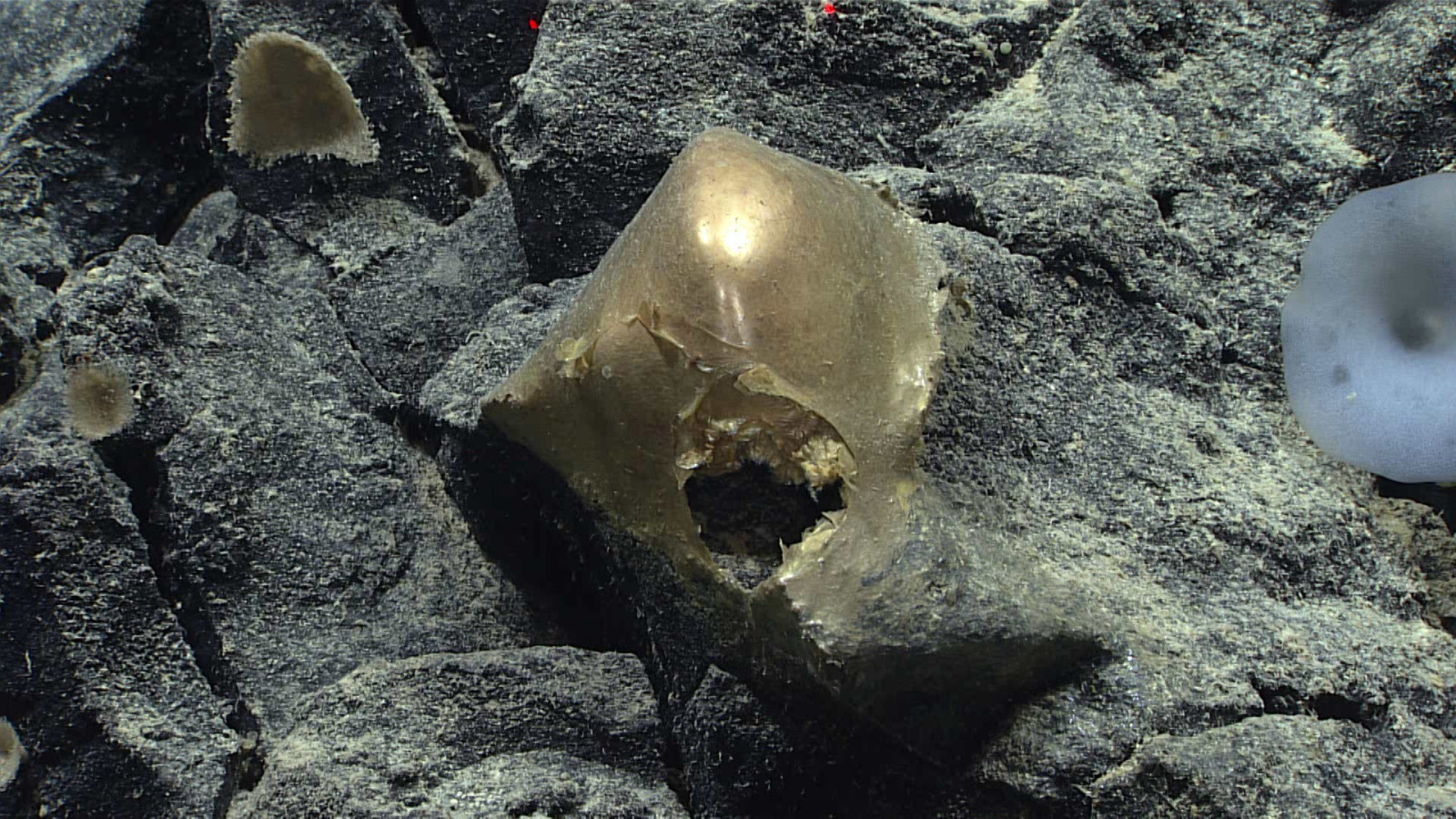 b118bce39fe52d3d4a27fd2f8fe3260d.jpg