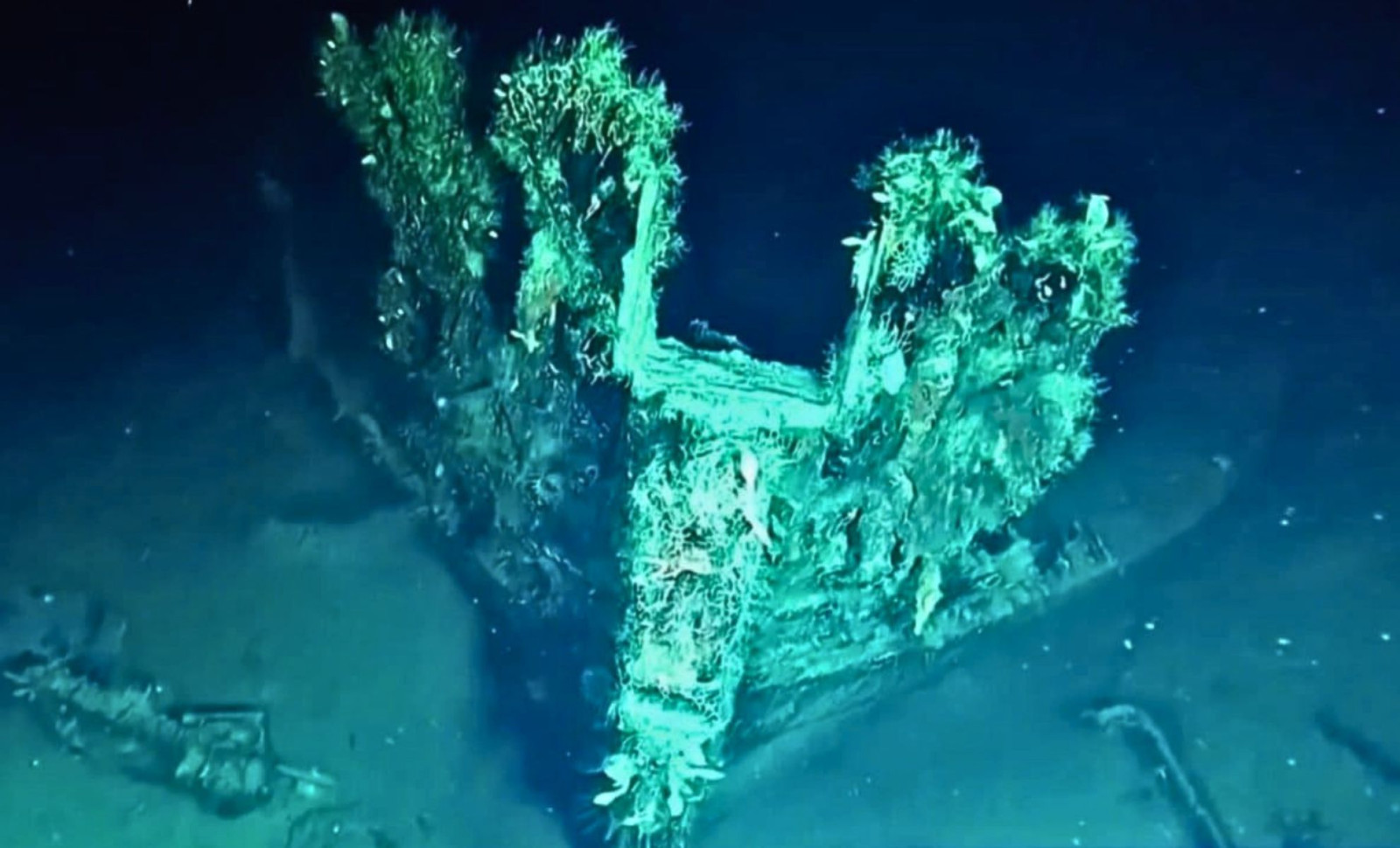 Historic Artifacts Salvaged from the Legendary San José Shipwreck after 300 Years Underwater 
